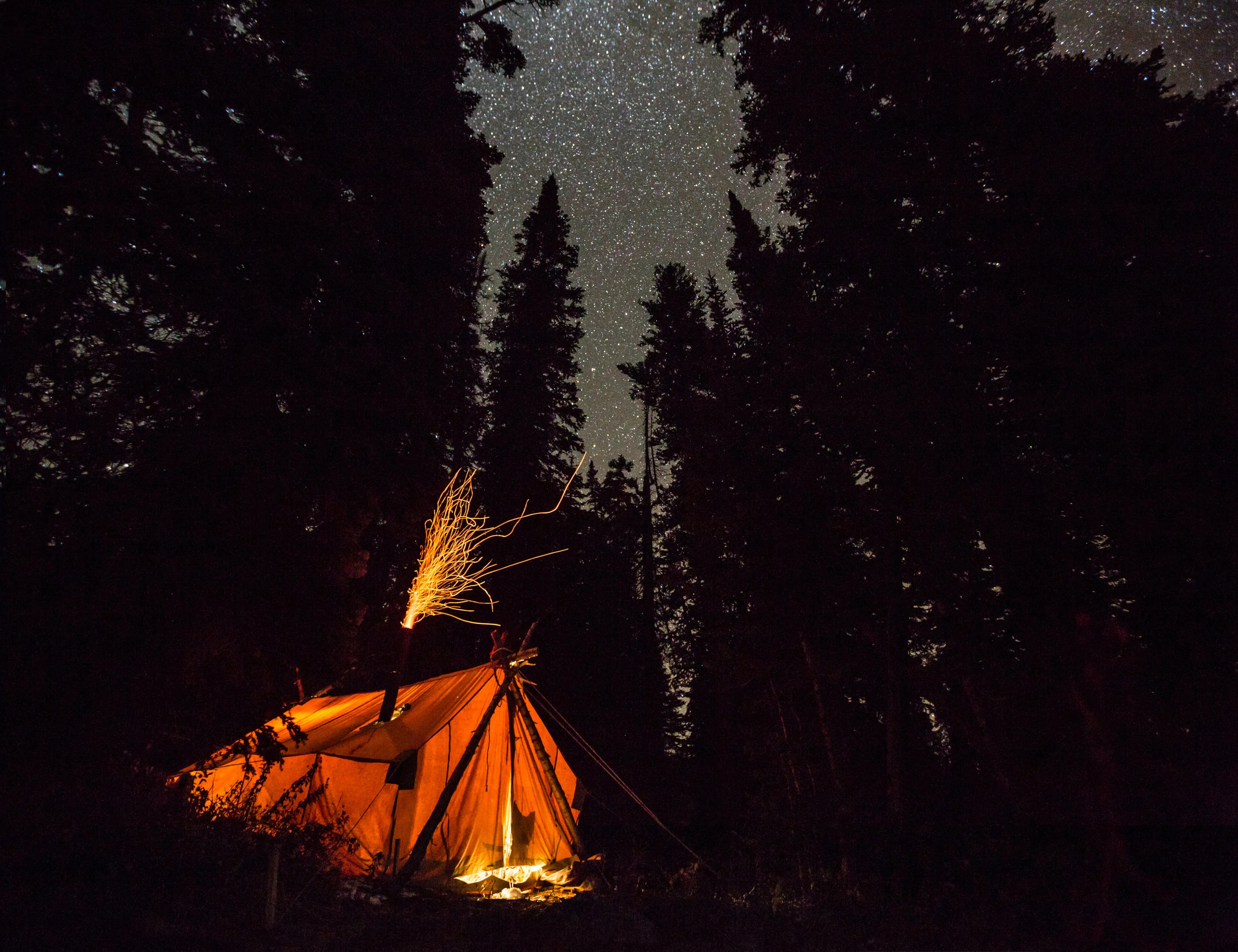 Teton_Moose_91.jpg