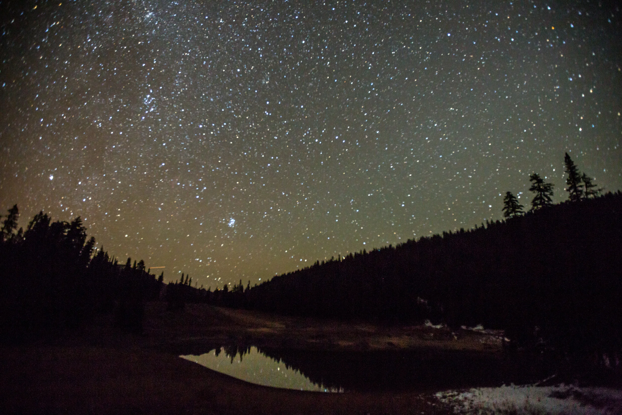 Teton_Moose_83.jpg
