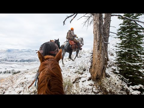 Hunting Mule Deer in Wyoming