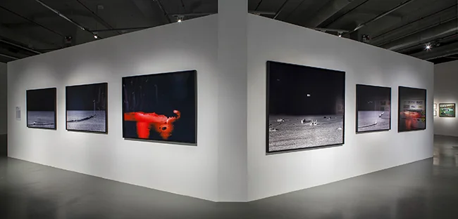 'While you are sleeping' , Installation view , Istanbul Modern Museum, 2017