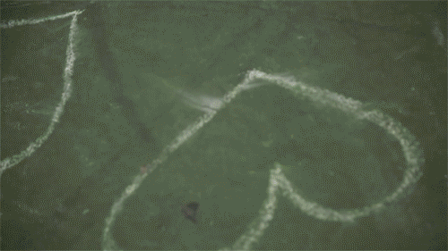 Untitled-2.gif