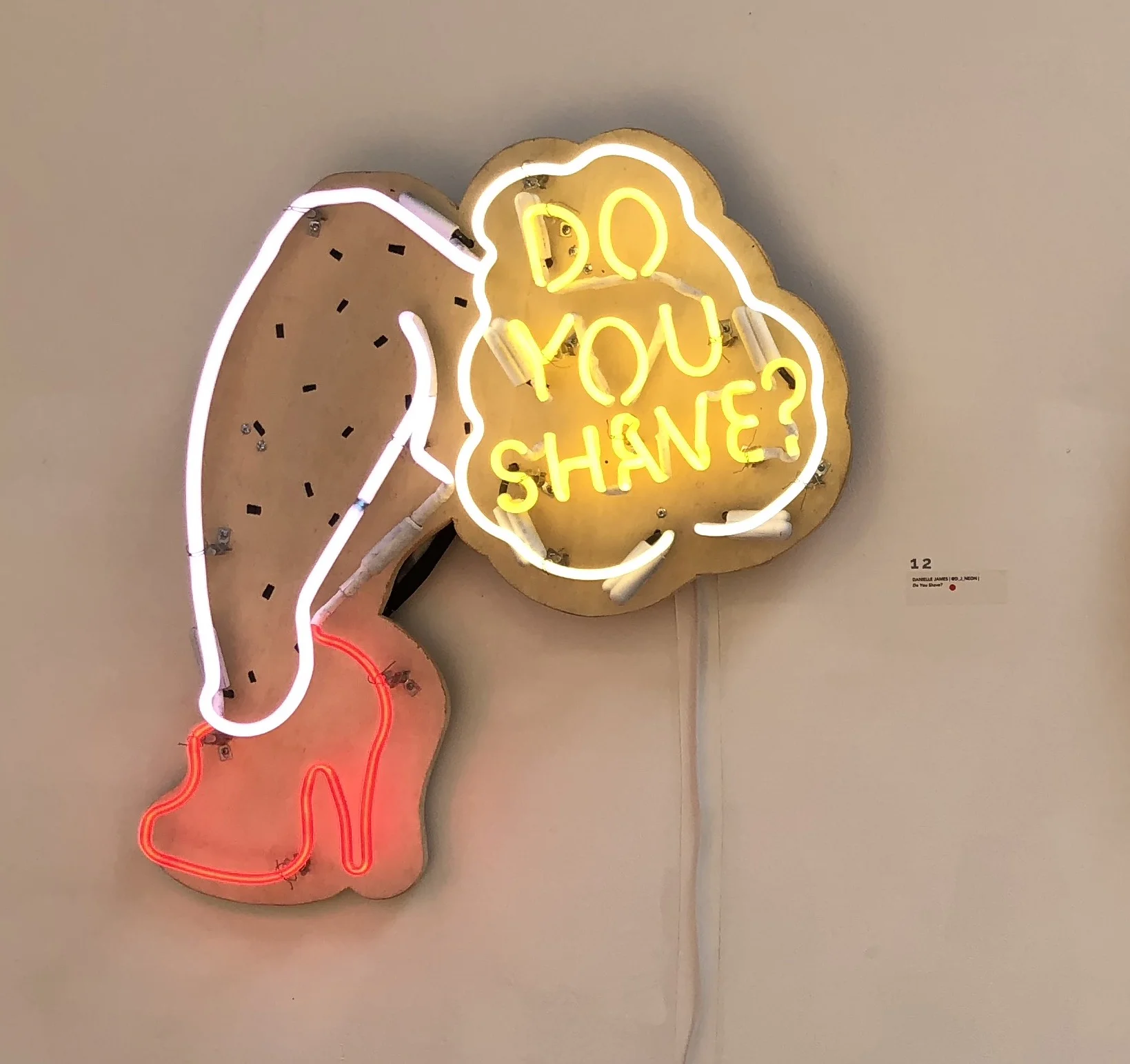 Danielle James - Do You Shave?