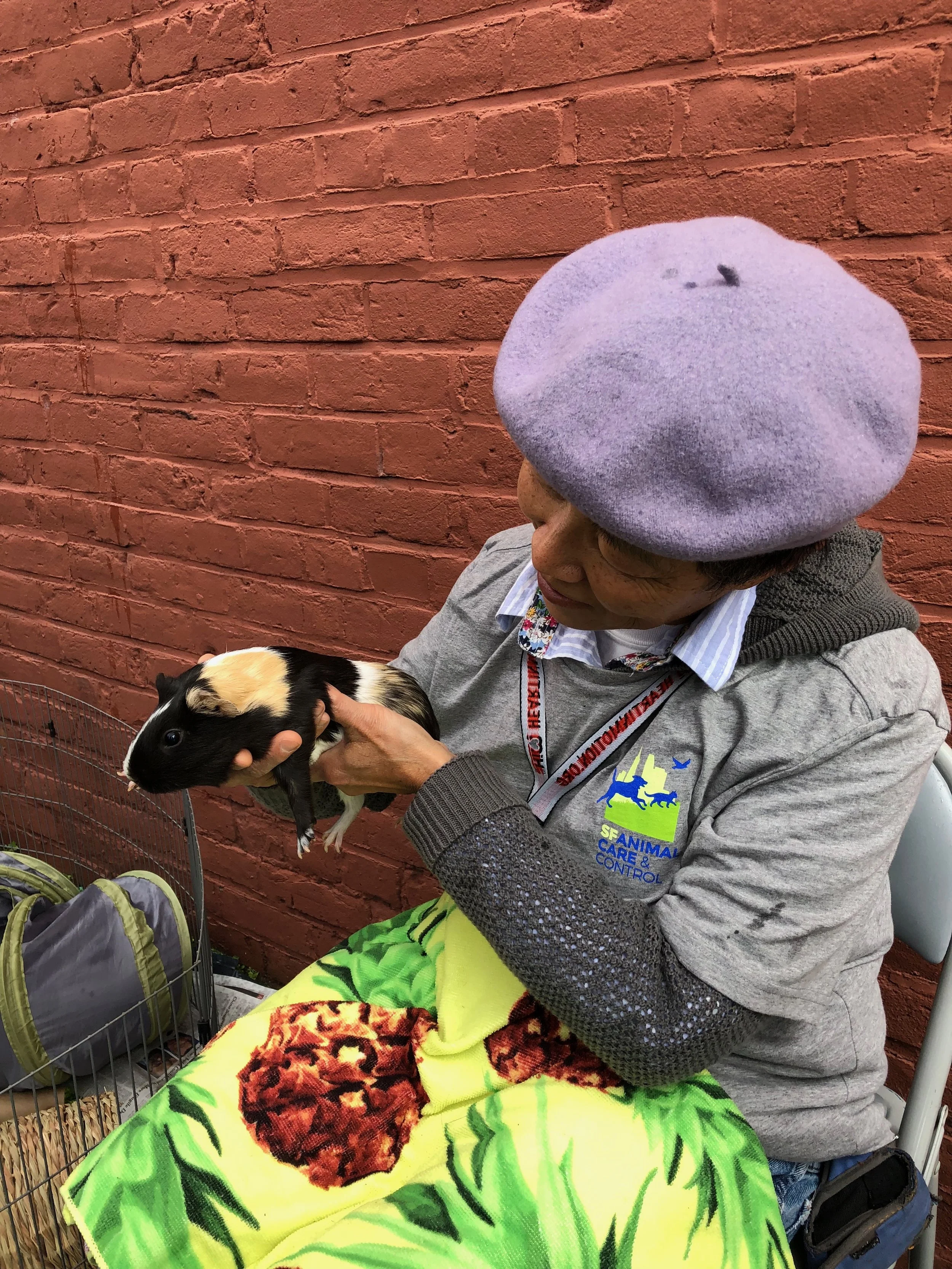 Tiny and mighty animal ambassador, Coco