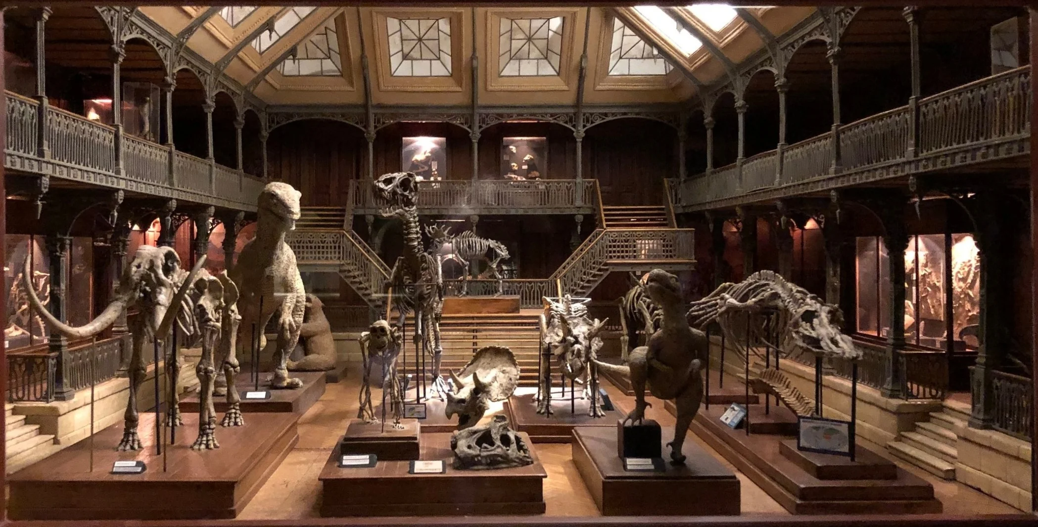 Le muséum d'histoire naturelle - Dan Ohlmann