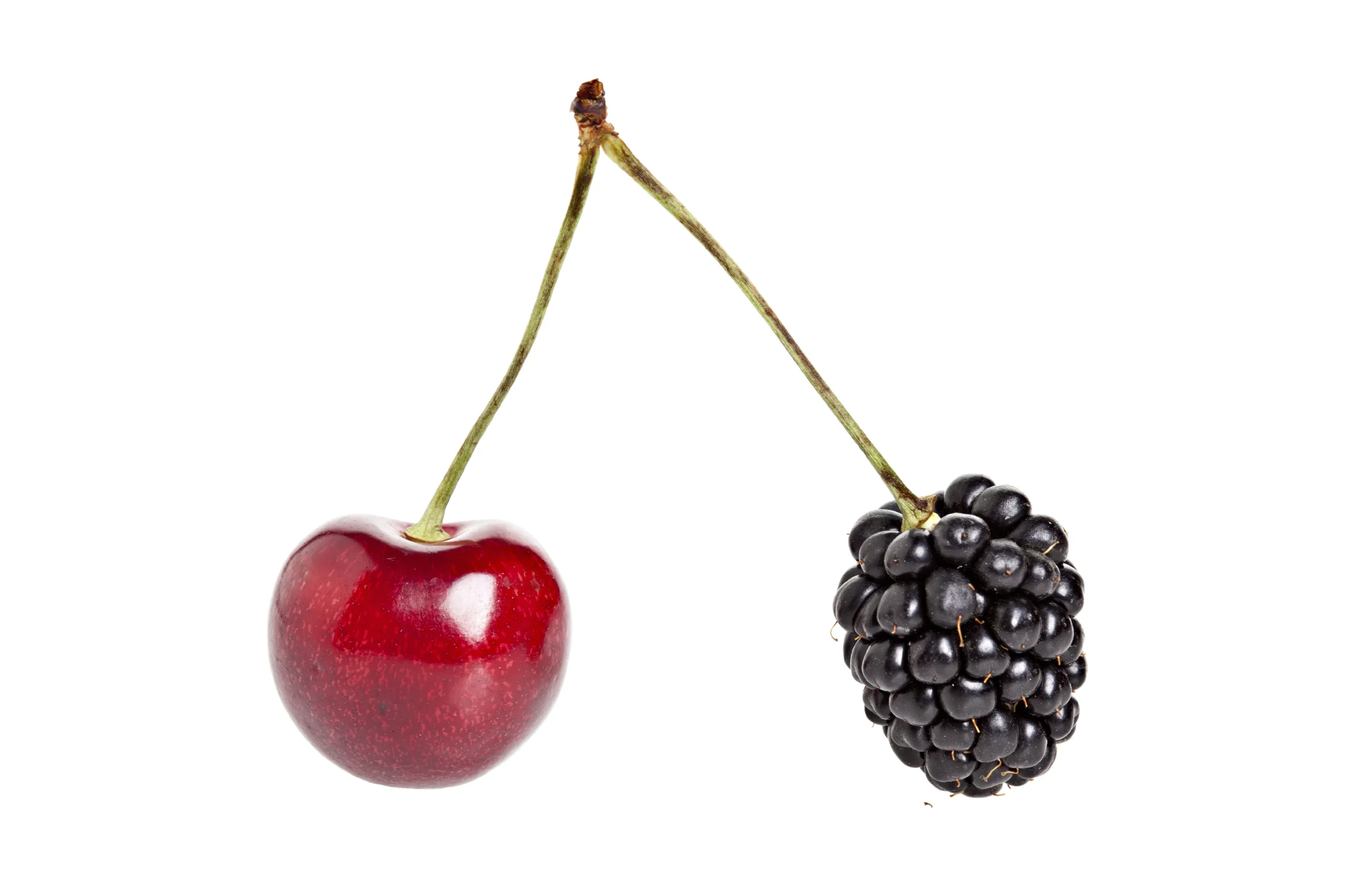#5iStock_000013481457Large.jpg