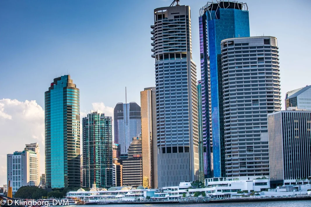 The Brisbane Harbor