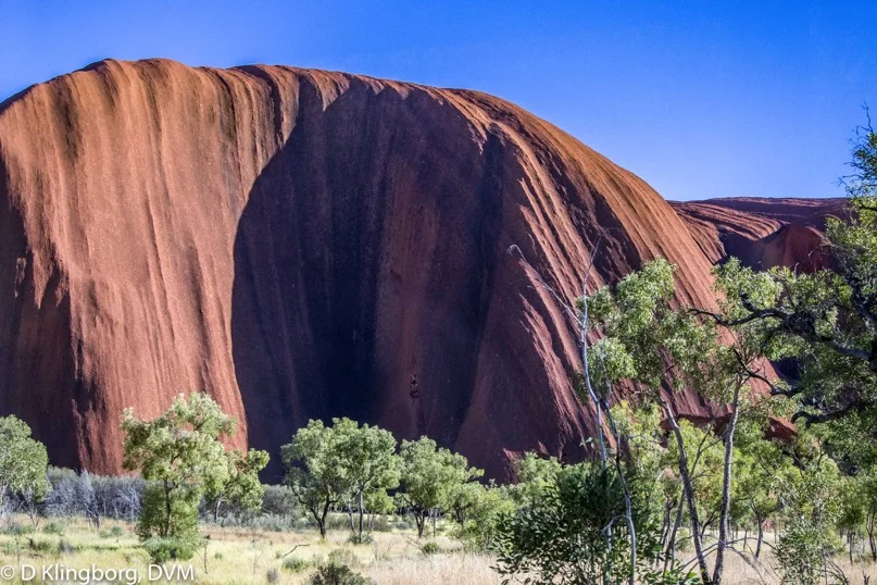 Uluru (Ayer's Rock)