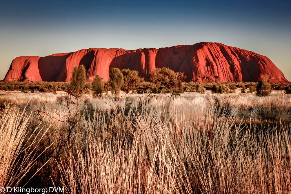 Uluru at sunrise