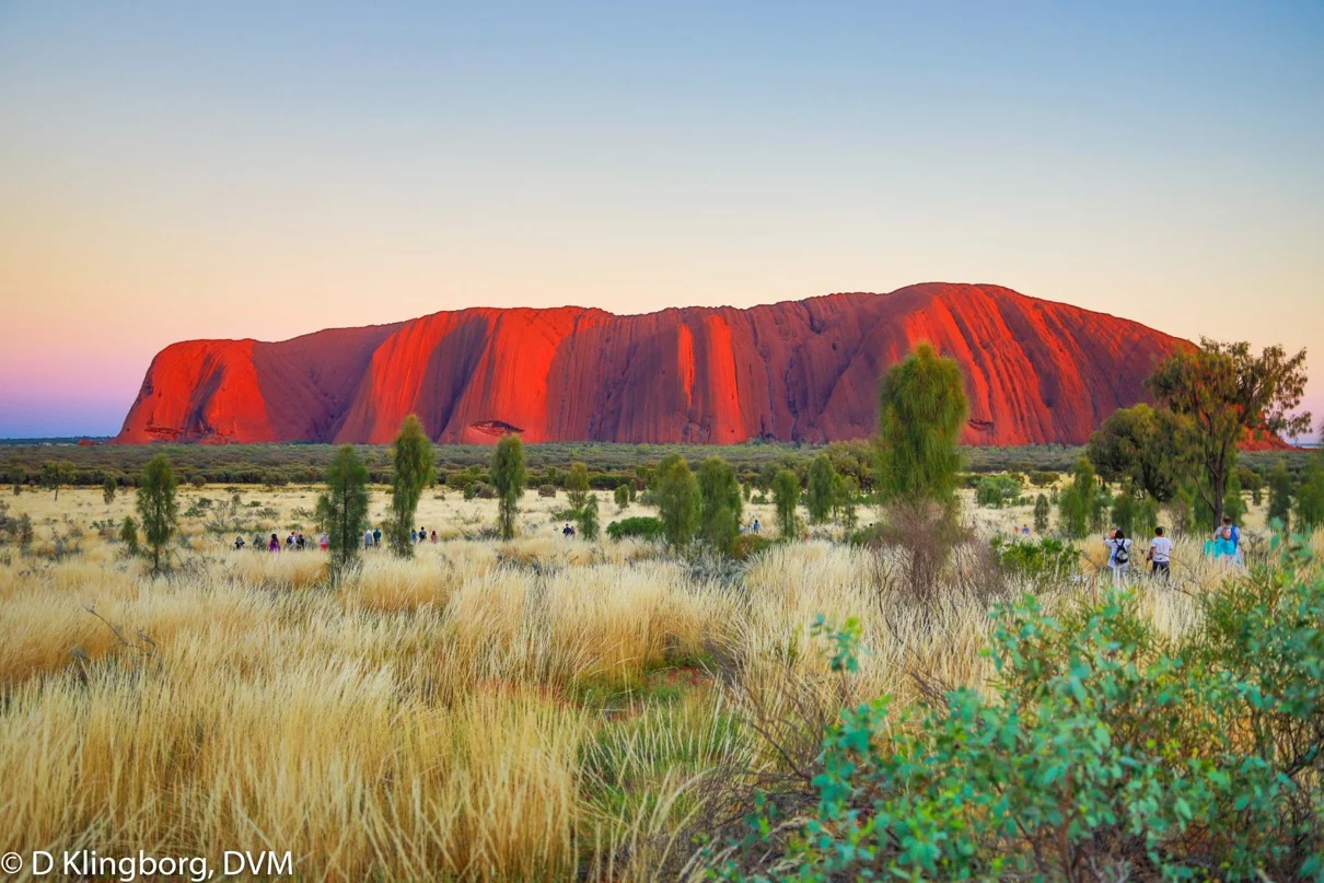 Uluru sunrise