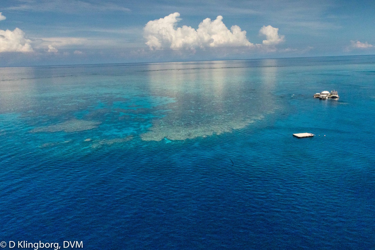 The Great Barrier Reef