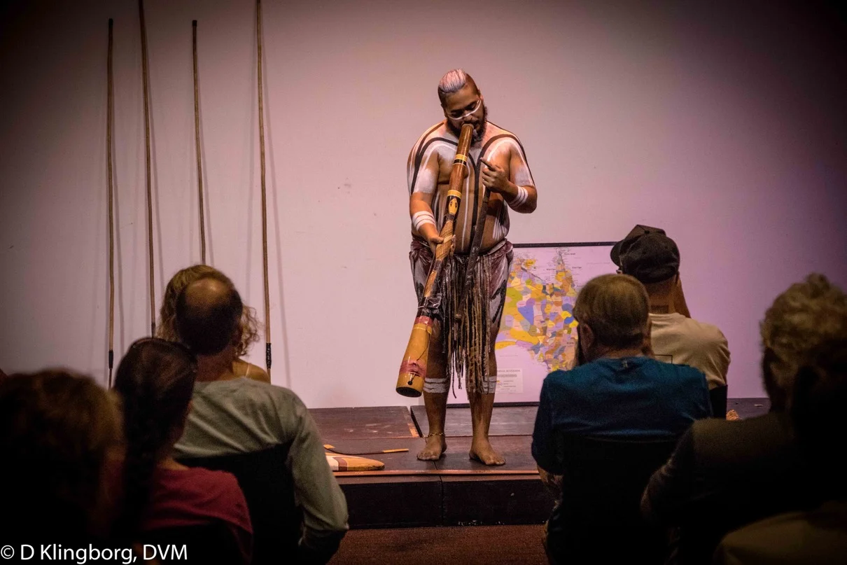 Didgeridoo demonstration