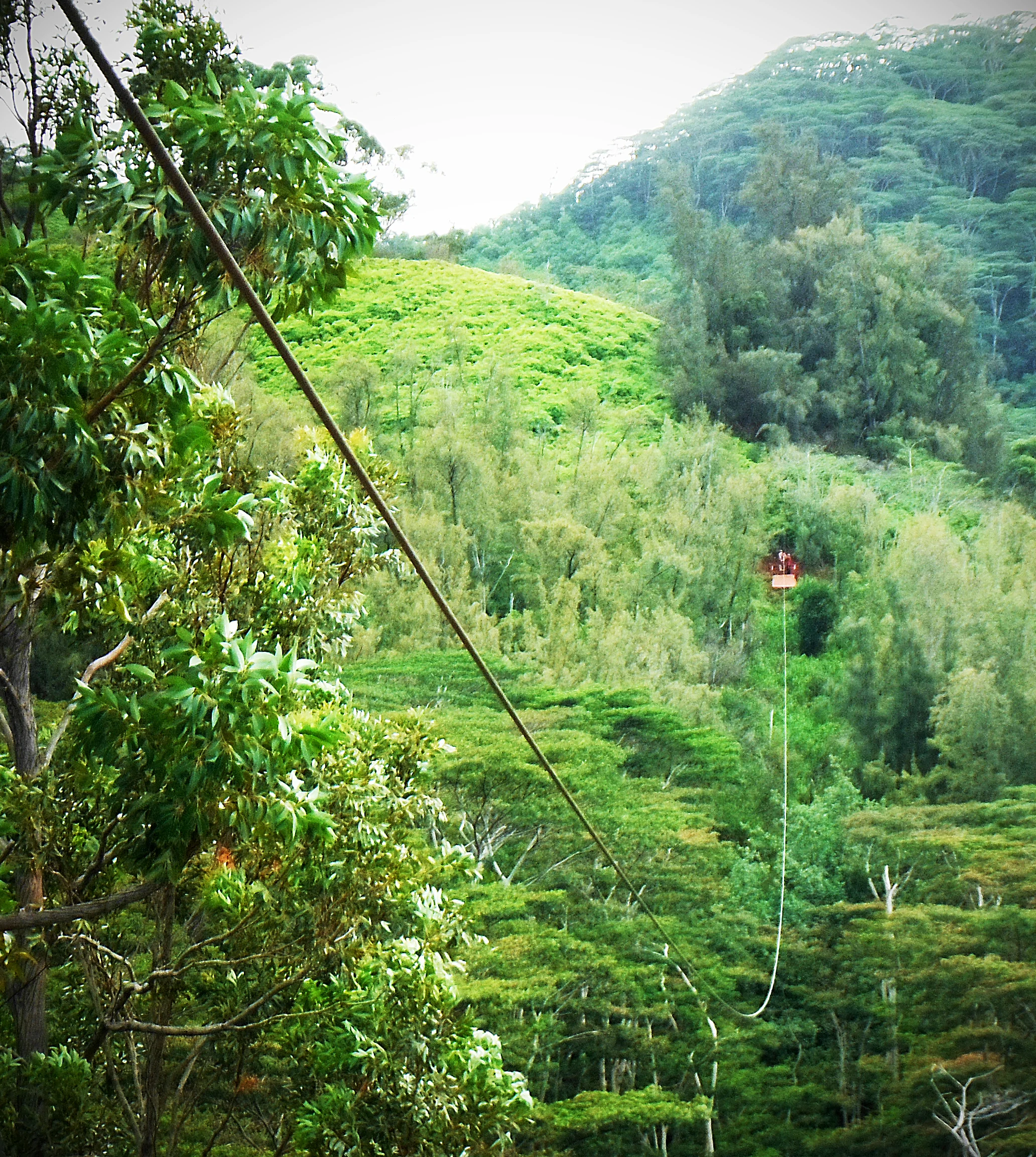 Koloa_Zipline_09.jpg