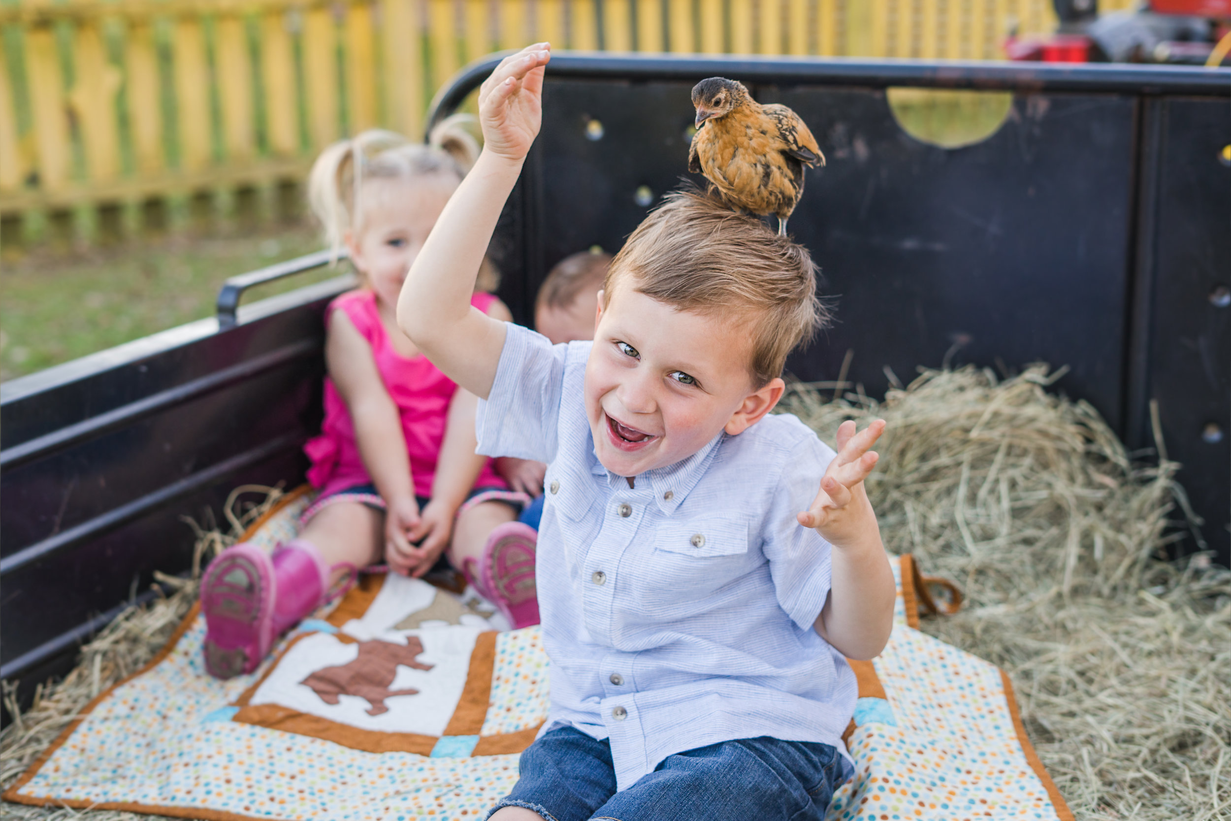 Lifestyle Session At Old Mcfaye S Farm Virginia Gates Photography Wilmington Nc Photographer 910 233 8227
