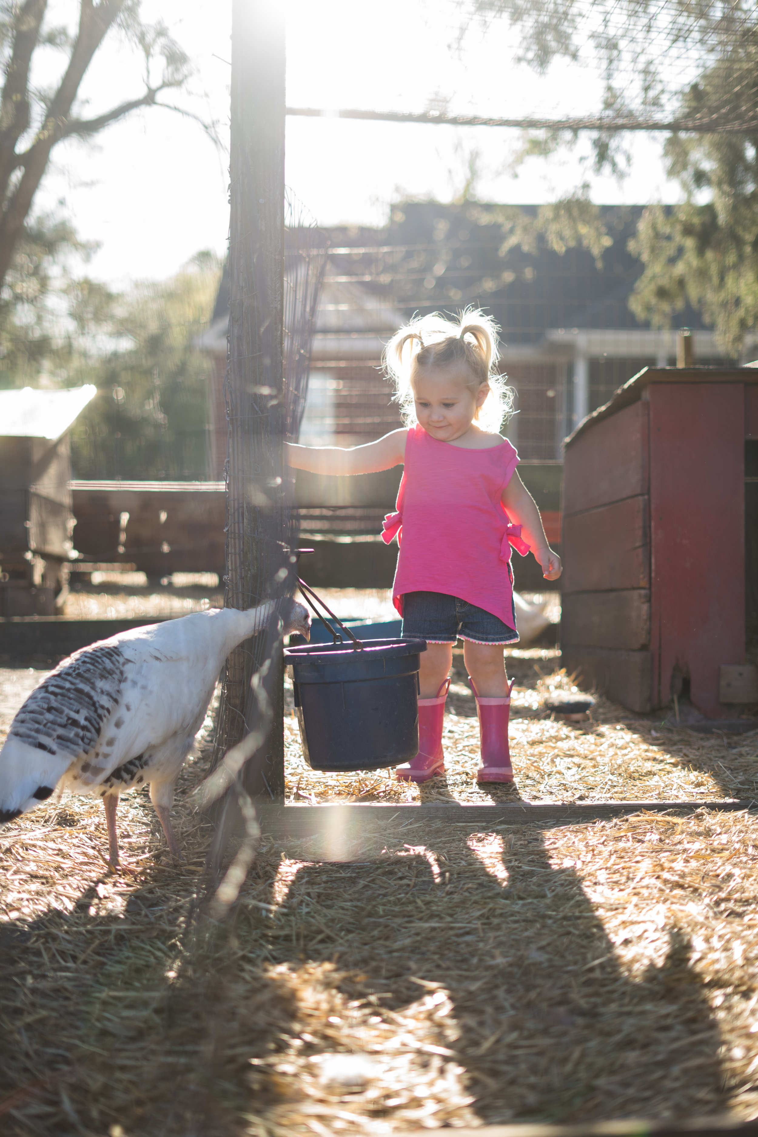 Lifestyle Session At Old Mcfaye S Farm Virginia Gates Photography Wilmington Nc Photographer 910 233 8227