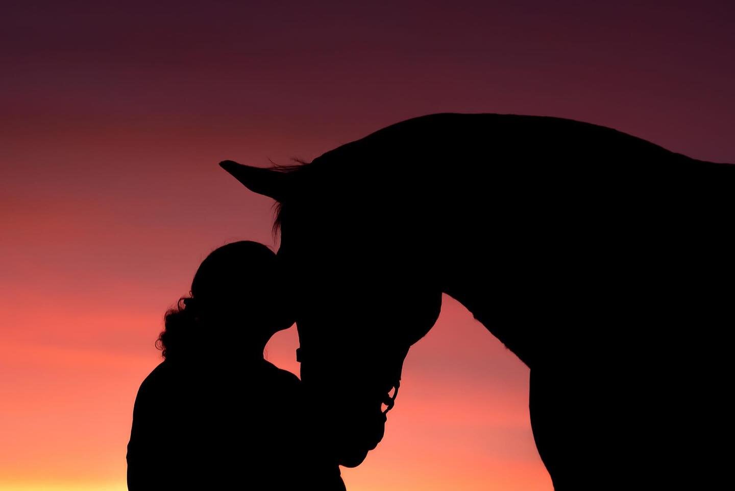 Horse girls vibes forever 🩷

@myruggeddestiny My Rugged Destiny AQHA stallion 

#horses #horsegirlenergy #equestrian #equine #equinephotography #equestrianlife #equestrianstyle #horsephotographer #equestrianphotography #horsegirl #lovemyhorse #horse