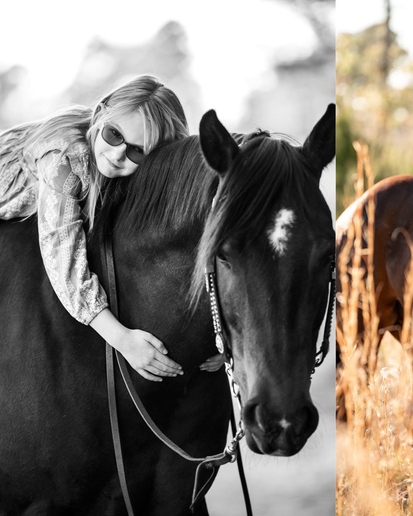 A hard birthday to top! Sweet Charlie was surprised with her favorite pony, Theo. A horse girl's dream come true 💖 

#horses #horsegirlenergy #equestrian #equine #equinephotography #equestrianlife #equestrianstyle #horsephotographer #equestrianphoto