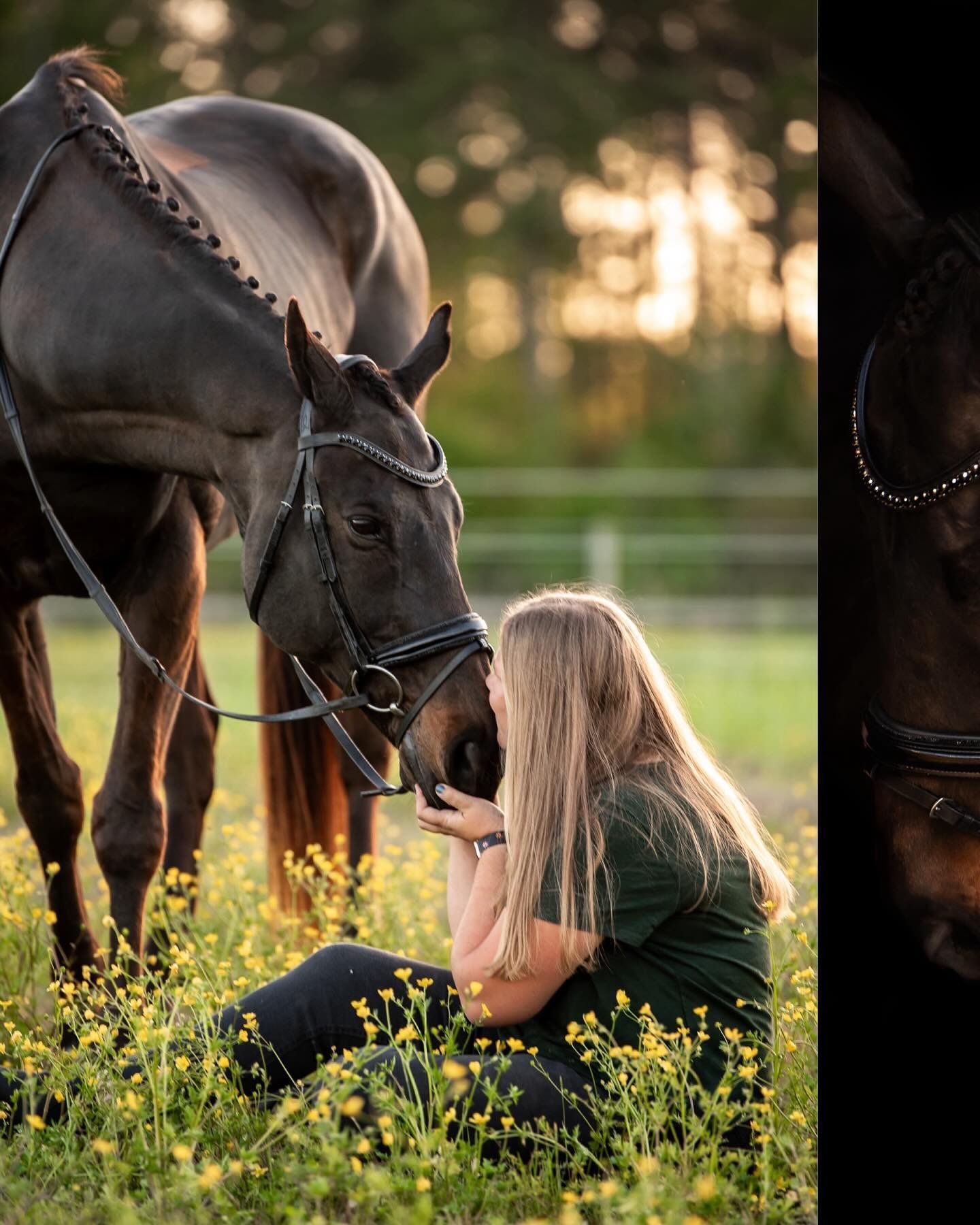 Emma + Kenny ✨ Such a lovely session with these two. Nothing better than a Thoroughbred in a field at sunset. 

Special thanks for the help and braiding (and braiding tips!) @anobleequestrian 

#horses #horsegirlenergy #equestrian #equine #equinephot