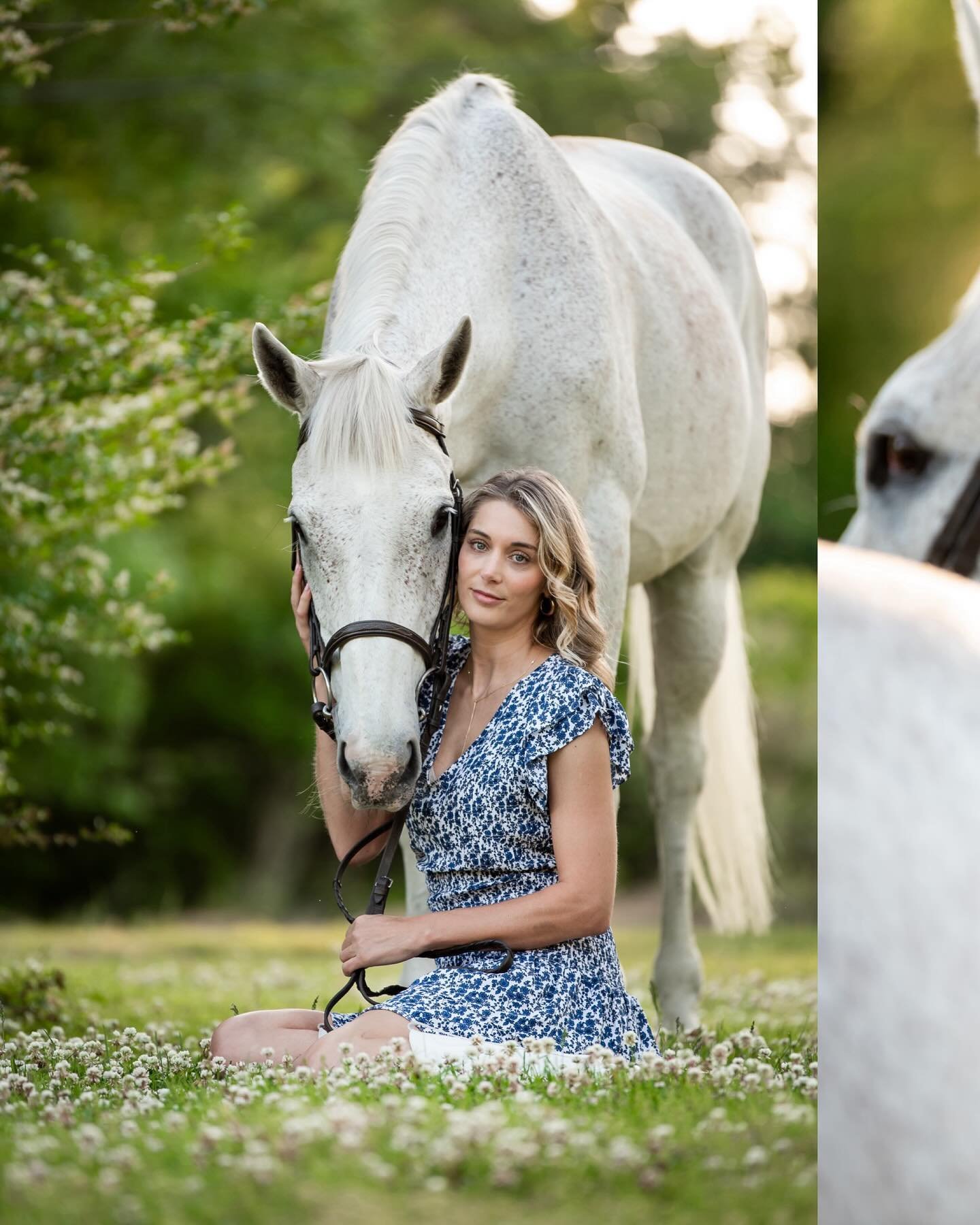 I had an absolute blast with stunning Lauren, her lease horse Snoopy, and her sweet teeny tiny pups. So many favorites from this session!

#horses #horsegirlenergy #equestrian #equine #equinephotography #equestrianlife #equestrianstyle #horsephotogra