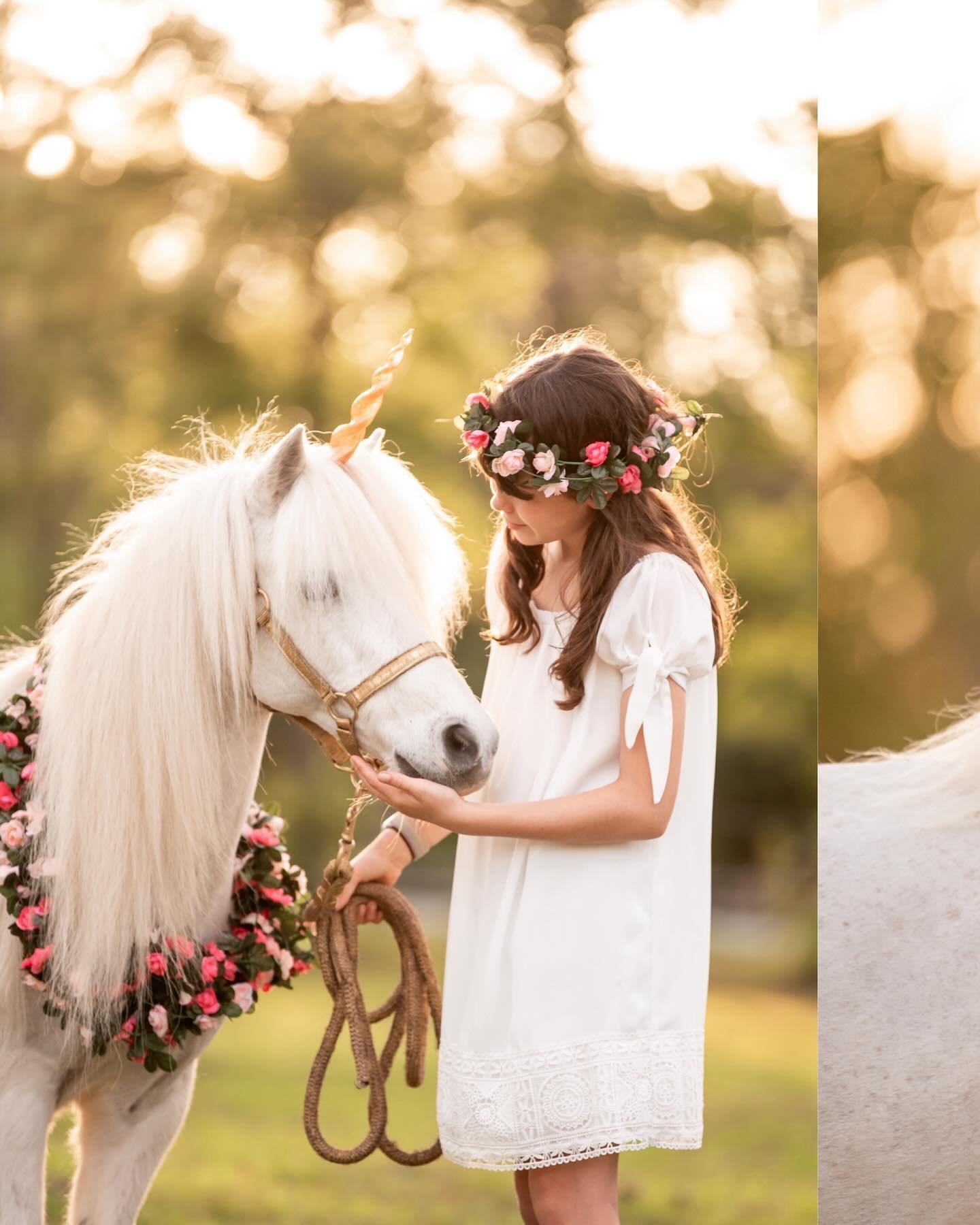 I am so excited to offer Unicorn Mini Sessions with @squinlanequine May 18th! There are only 8 available spots for these. Kiddos will take photos with the most perfect unicorn of all time, Sugar, at her private farm in Rocky Point. Sessions are 15 mi