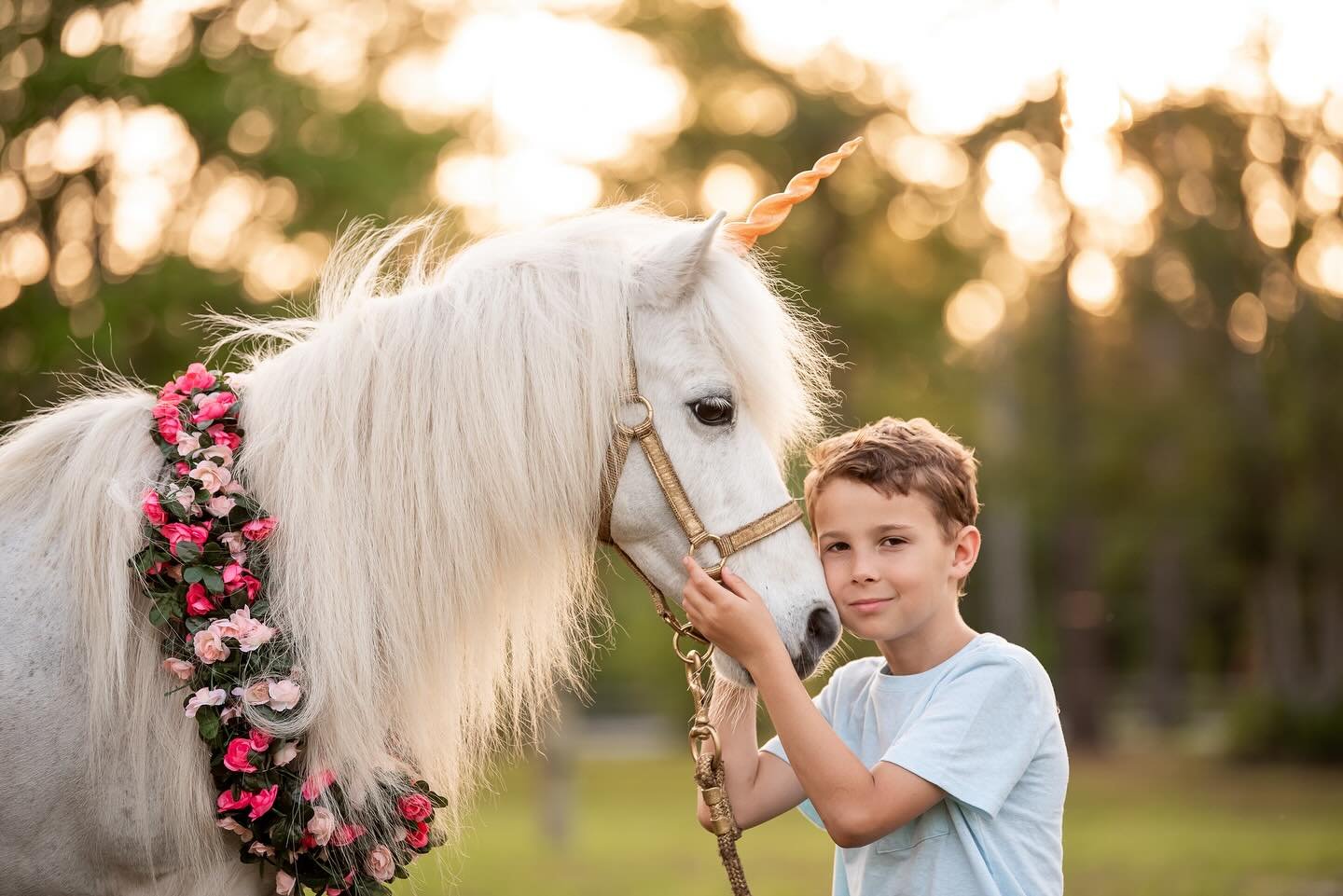 Unicorn Mini-Sessions 5/18 🦄🩷 Join us for a magical photo experience with @squinlanequine book yours today!

https://book.usesession.com/s/DbJuz5hzE 

#wilmingtonnc #unicorn #wilmingtonminisession #horse #unicornsession #wilmingtonncphotographer #h