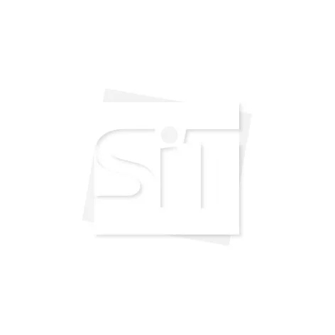 icon light-2.jpg