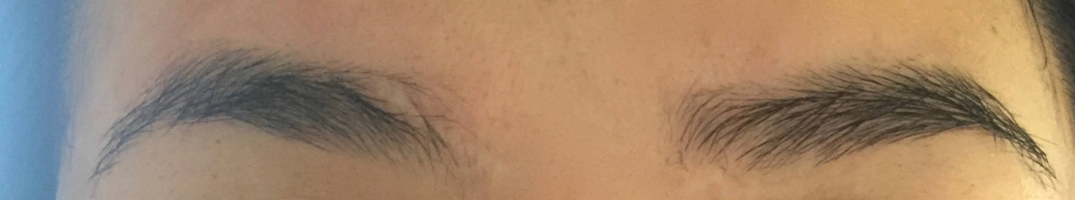 Natural | I feel like the pictures don't do justice to how amazing my brows look after