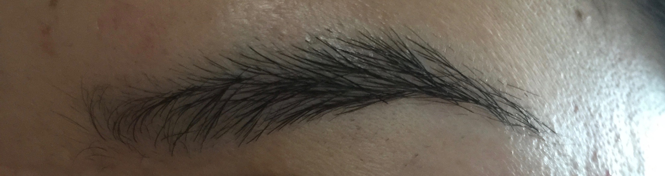 Natural | Left eyebrow