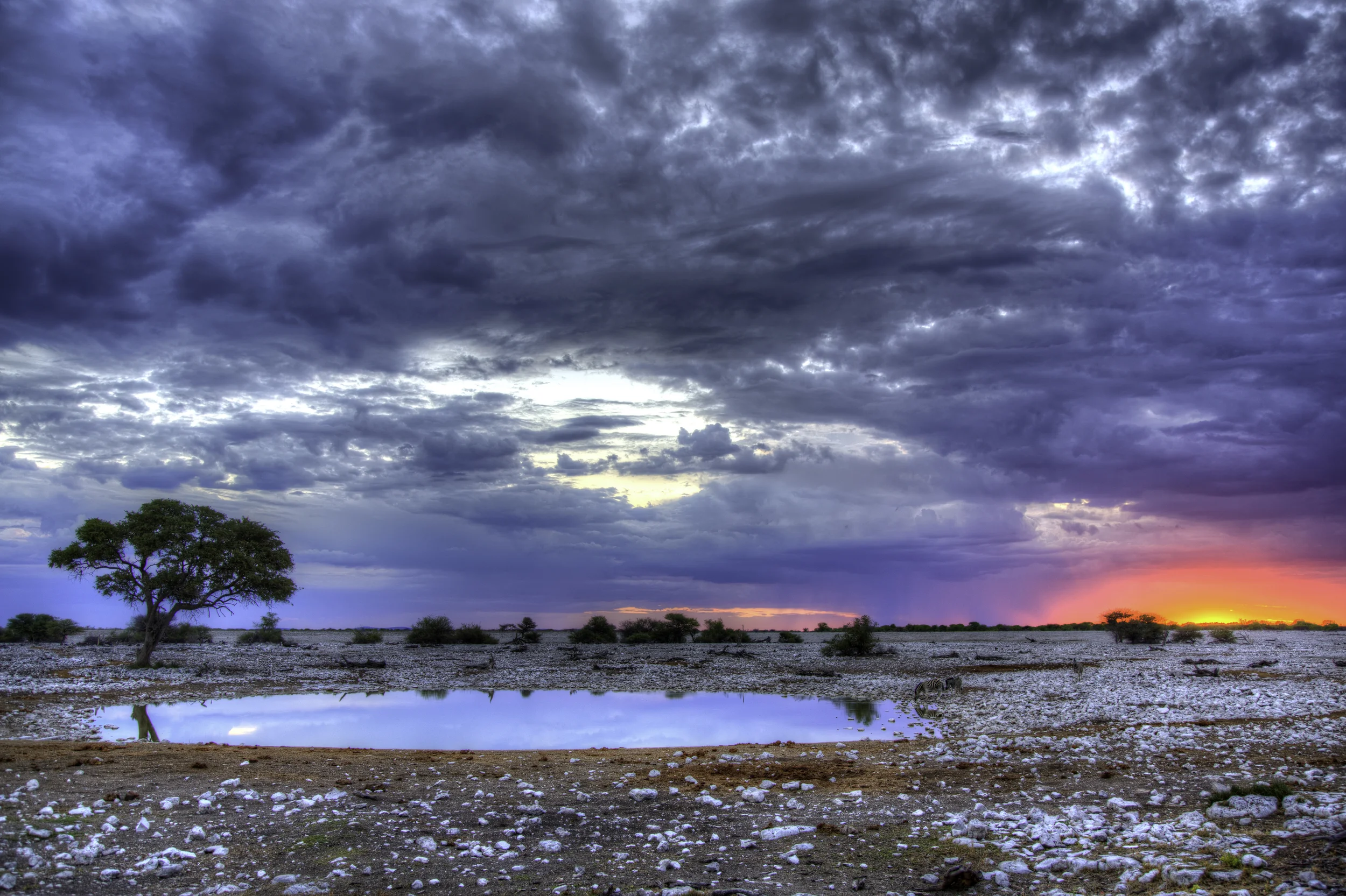 The Watering Hole, Etosha National Park