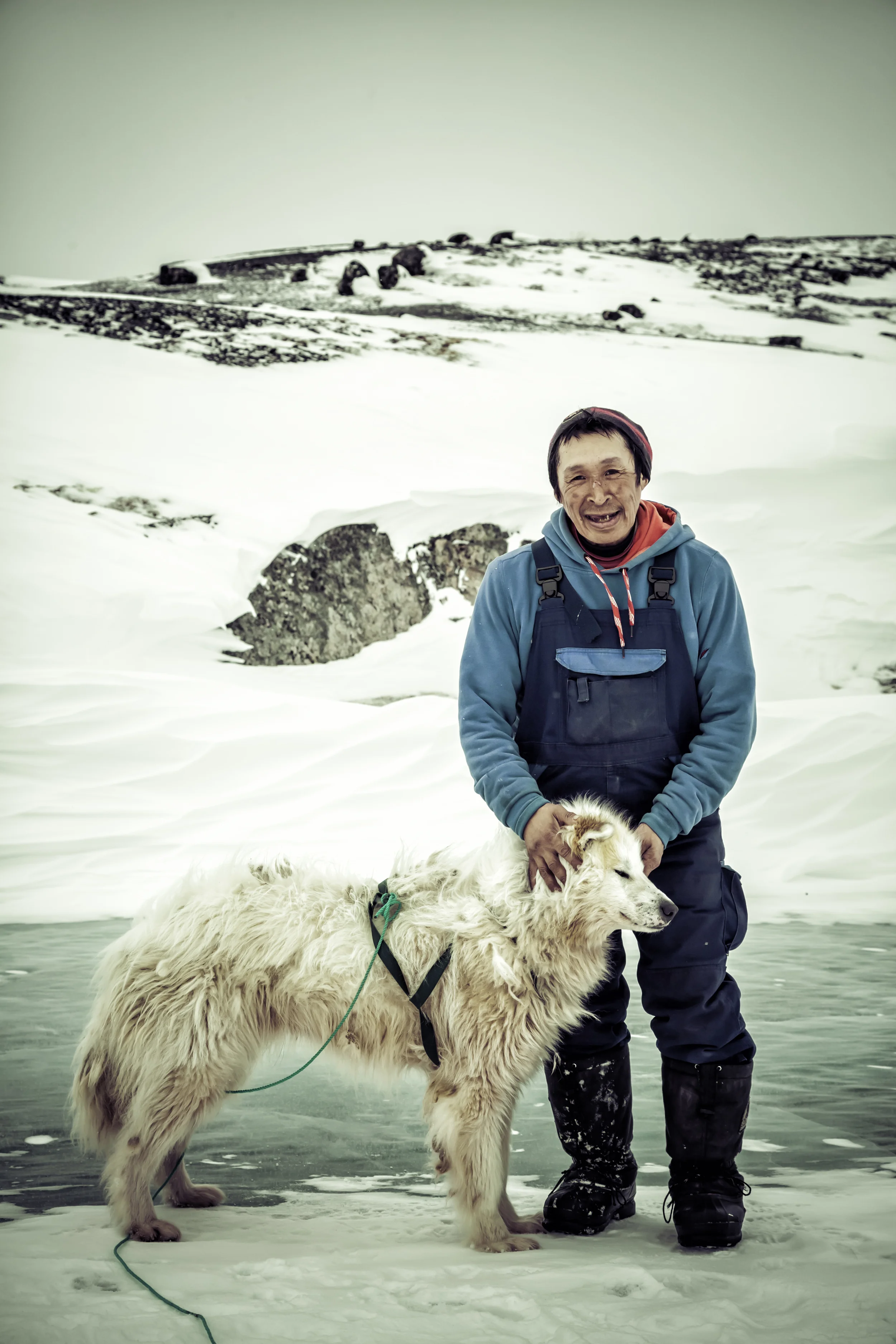 The Bond, Ilulissat