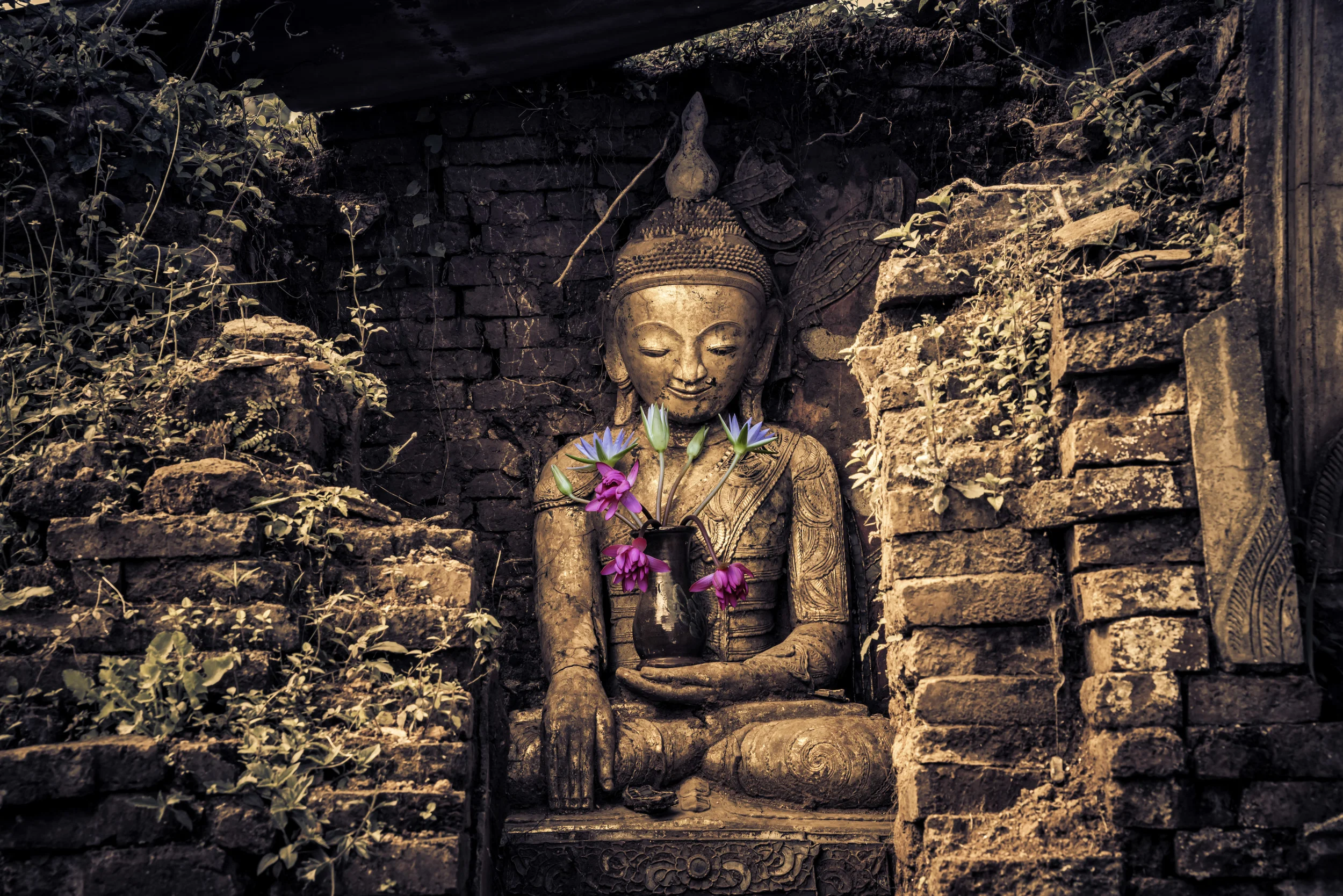 Beautiful flowers for the Buddha.