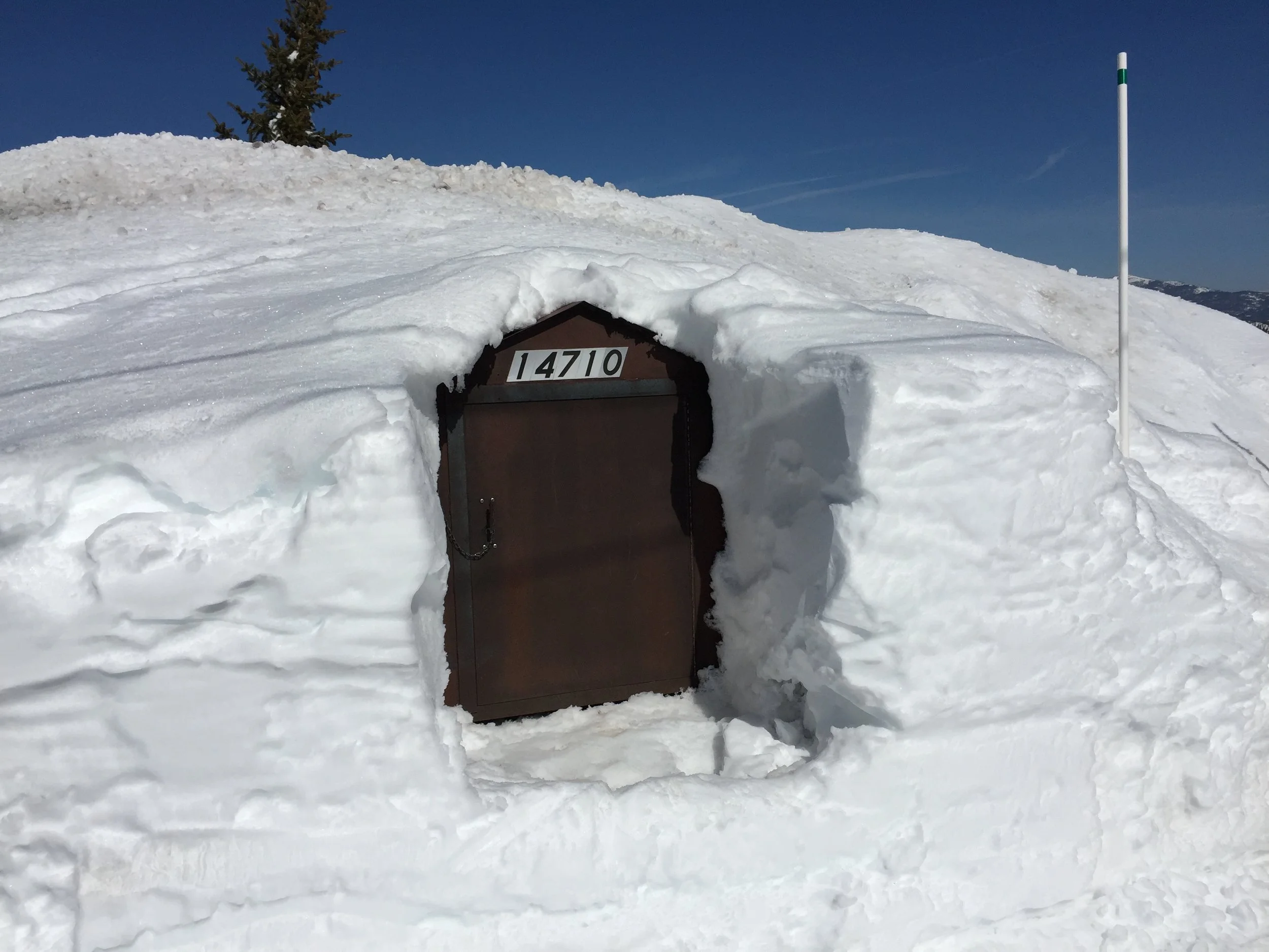 Alta Vista's "Bear Box" (for deposit of garbage and recyclables) -- sometimes needs a bit of shoveling