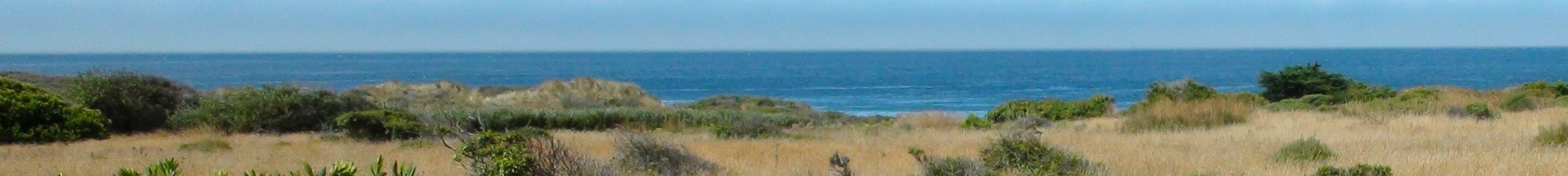 View from LR, MBR, second BR, loft, and wrap-around deck of Casa Pacis