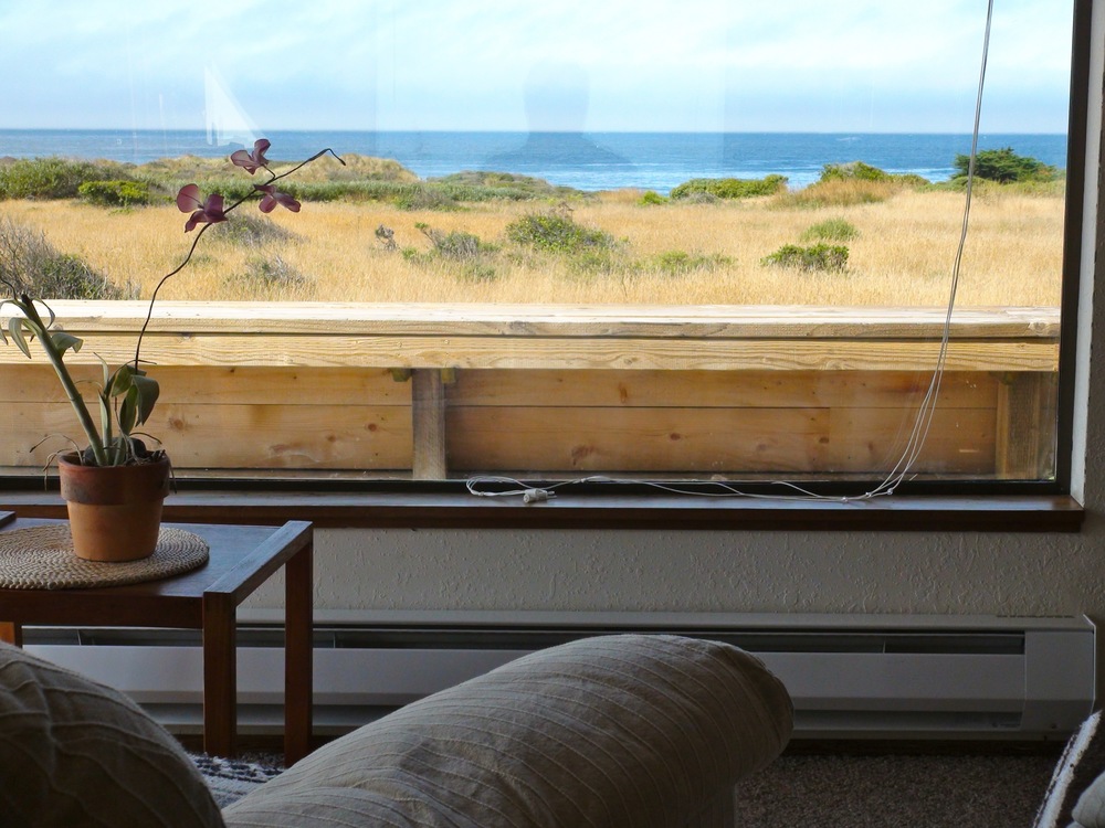 ..... or from the living room through the large view window, .....