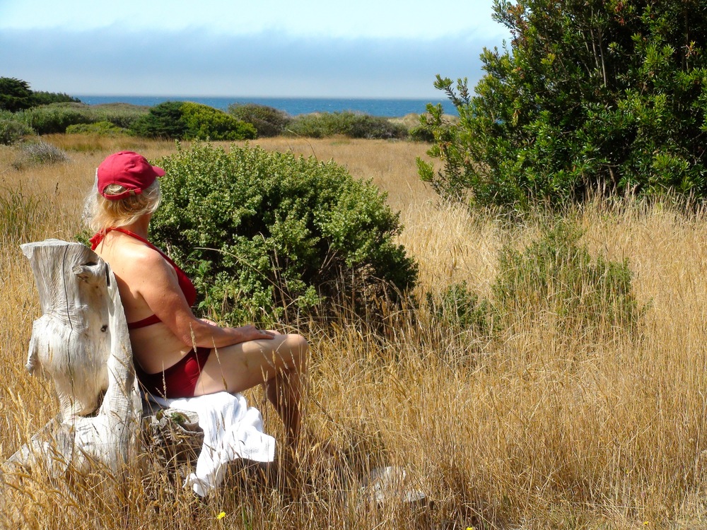 ..... or from the comfortable "tree stump seat" ...