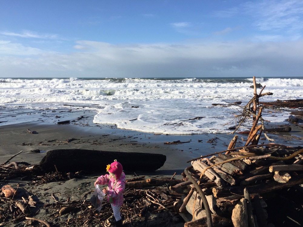 Amounts of driftwood are endless at "Walk-on-Beach" (just 150 yds from Casa Pacis)