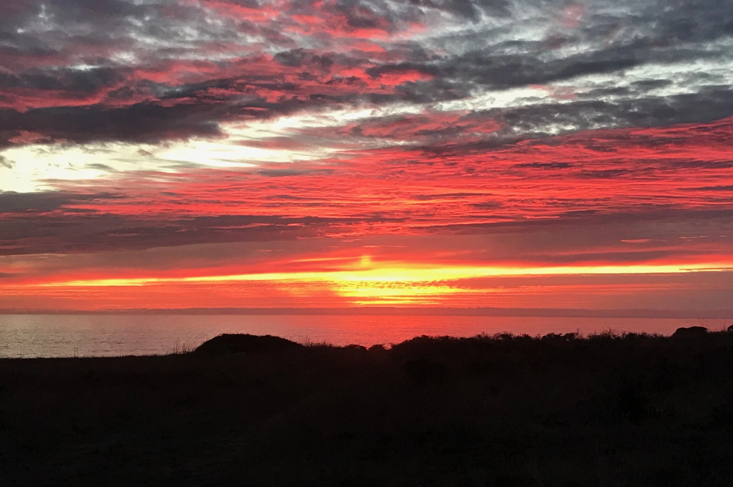 Photo courtesy of Debbie Freed (November 2018)