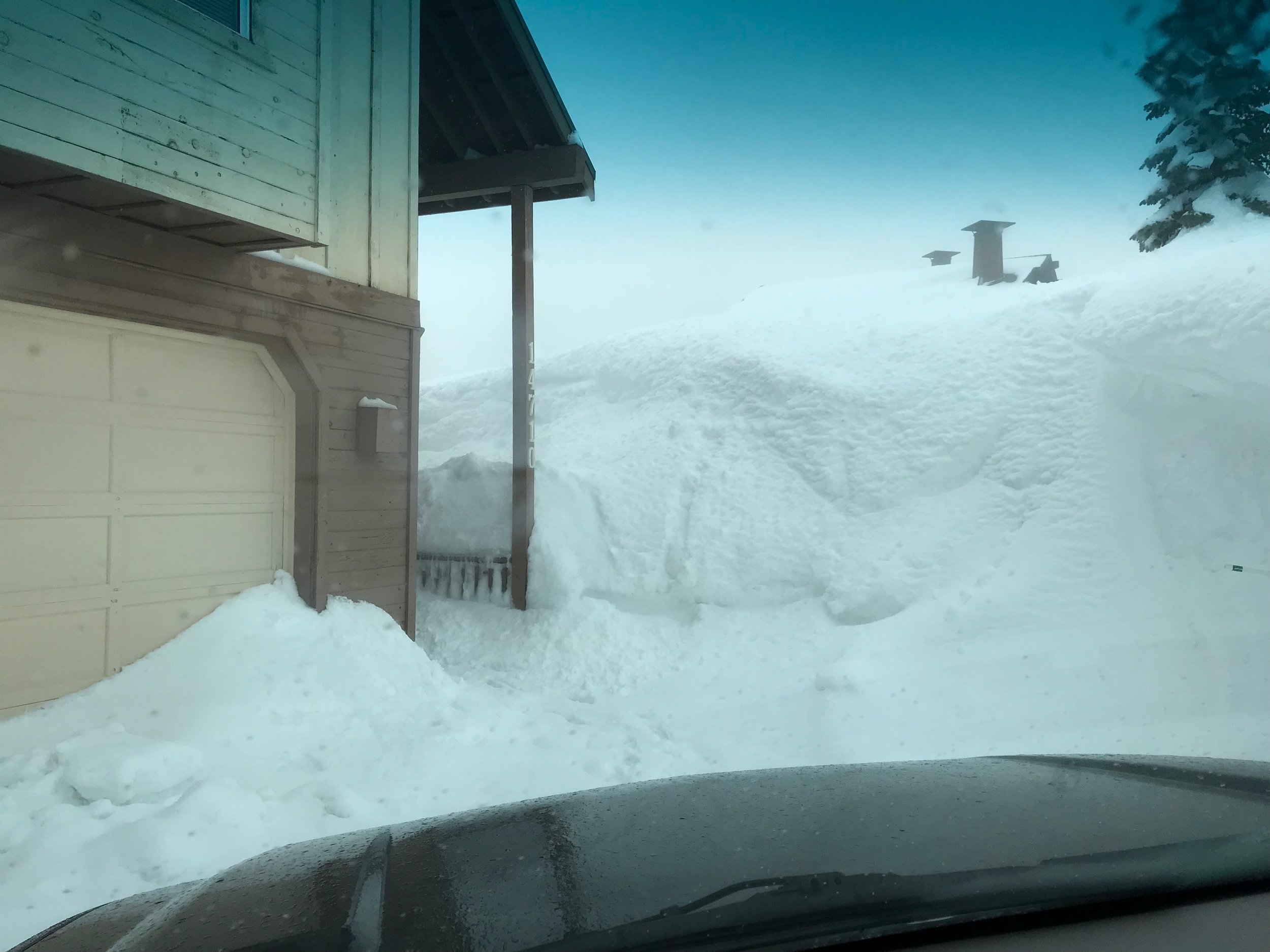 Alta Vista entry area (3/2/2019)