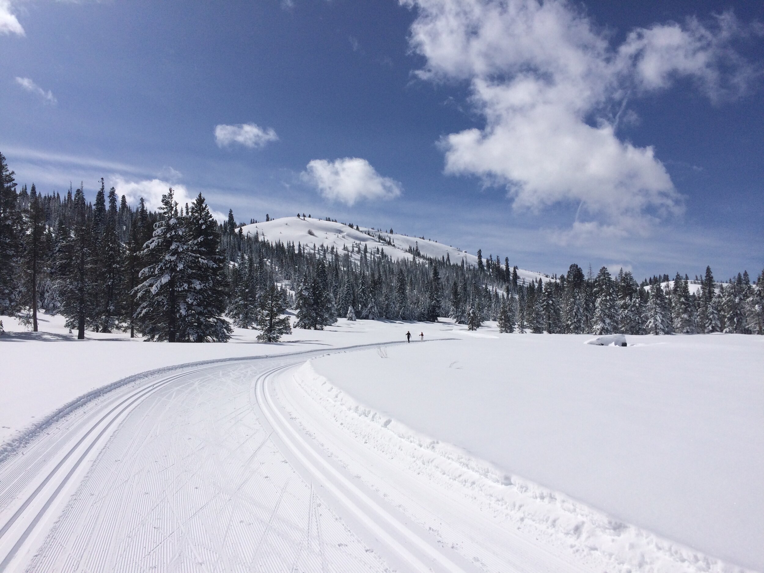 ... miles and miles of x-country skiing trails ... 