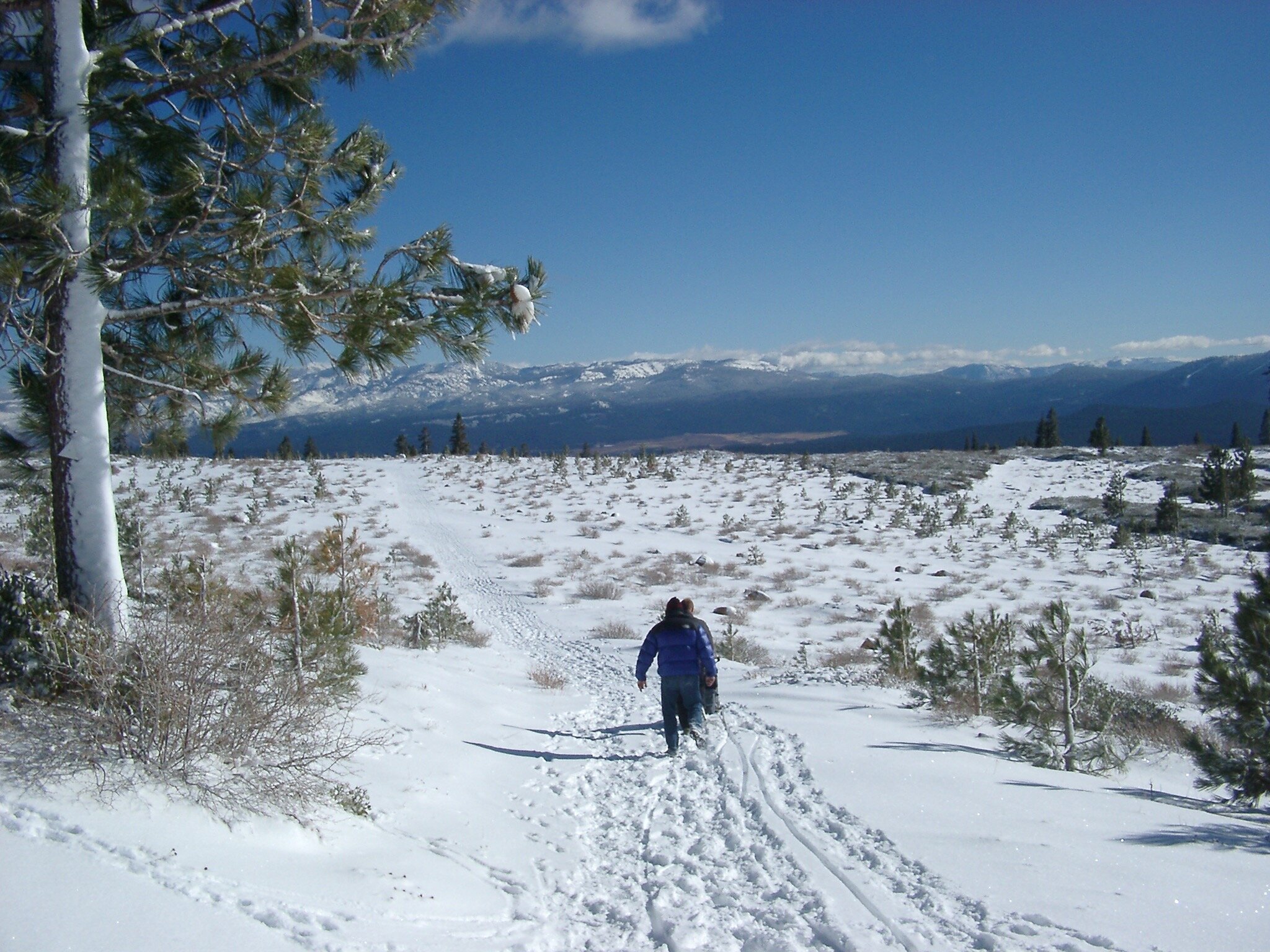 ... on a trail near Alta Vista Chalet at Tahoe Donner ... 