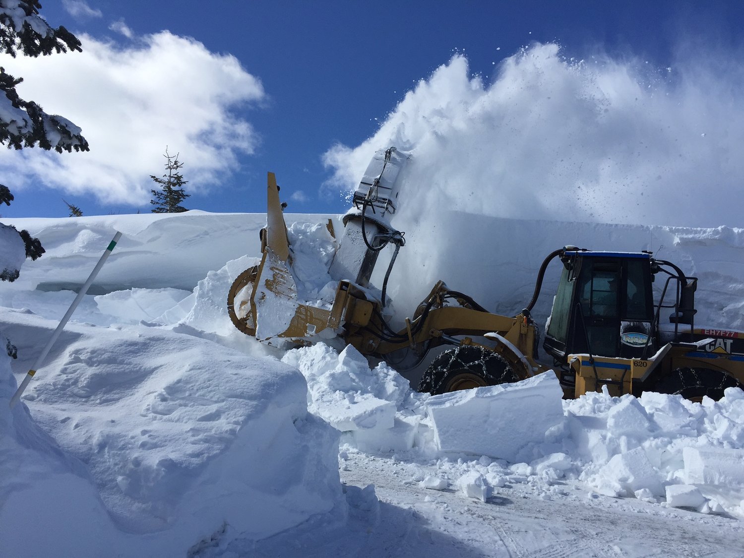 Tahoe-Donner, from the Master Brdroom of Alta Vista Chalet