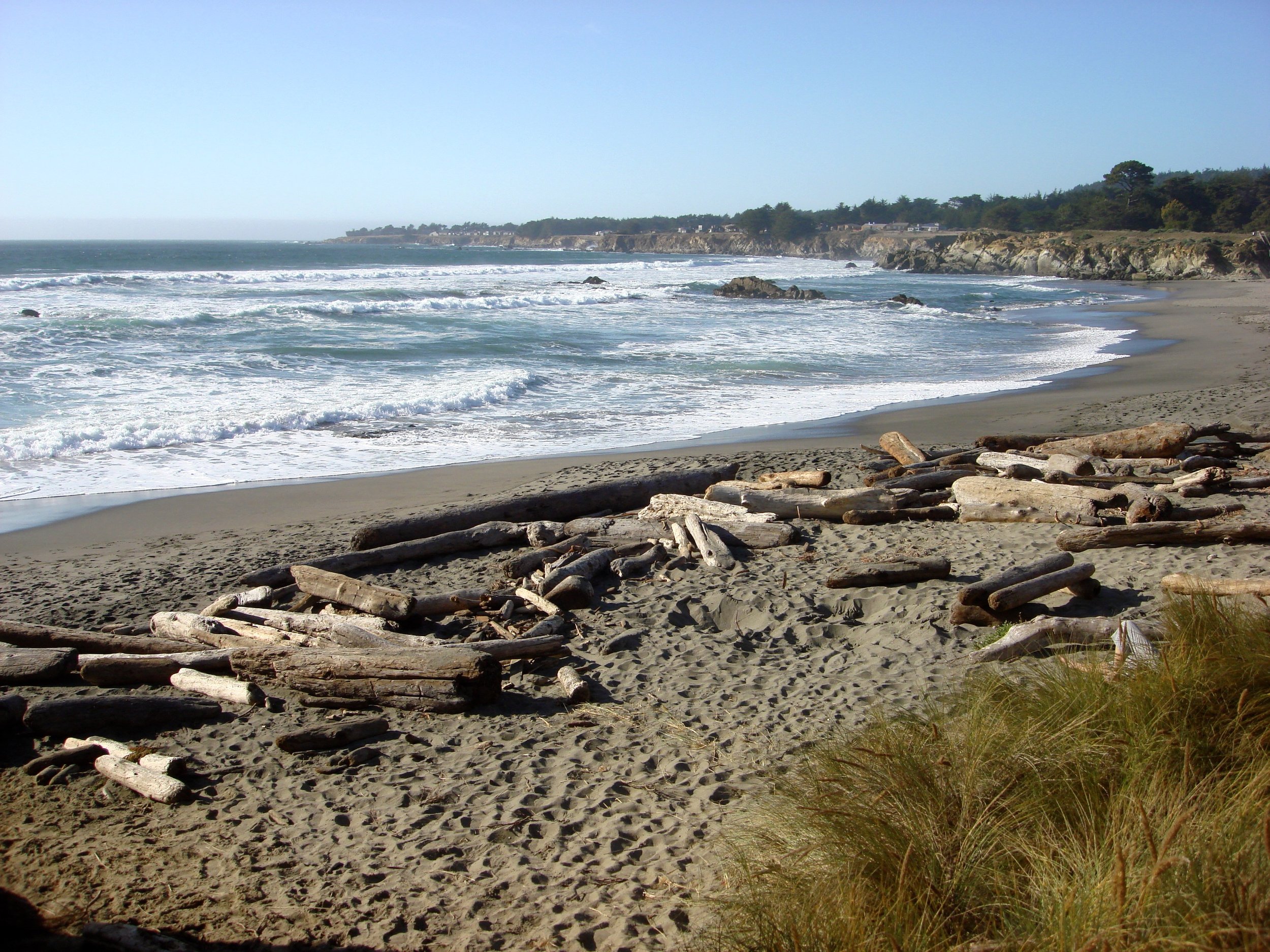"Walk-on-Beach" with driftwood