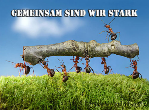 (Foto: www.grusskartenbilder.de)