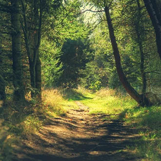 Burnt Cabin Church Camp