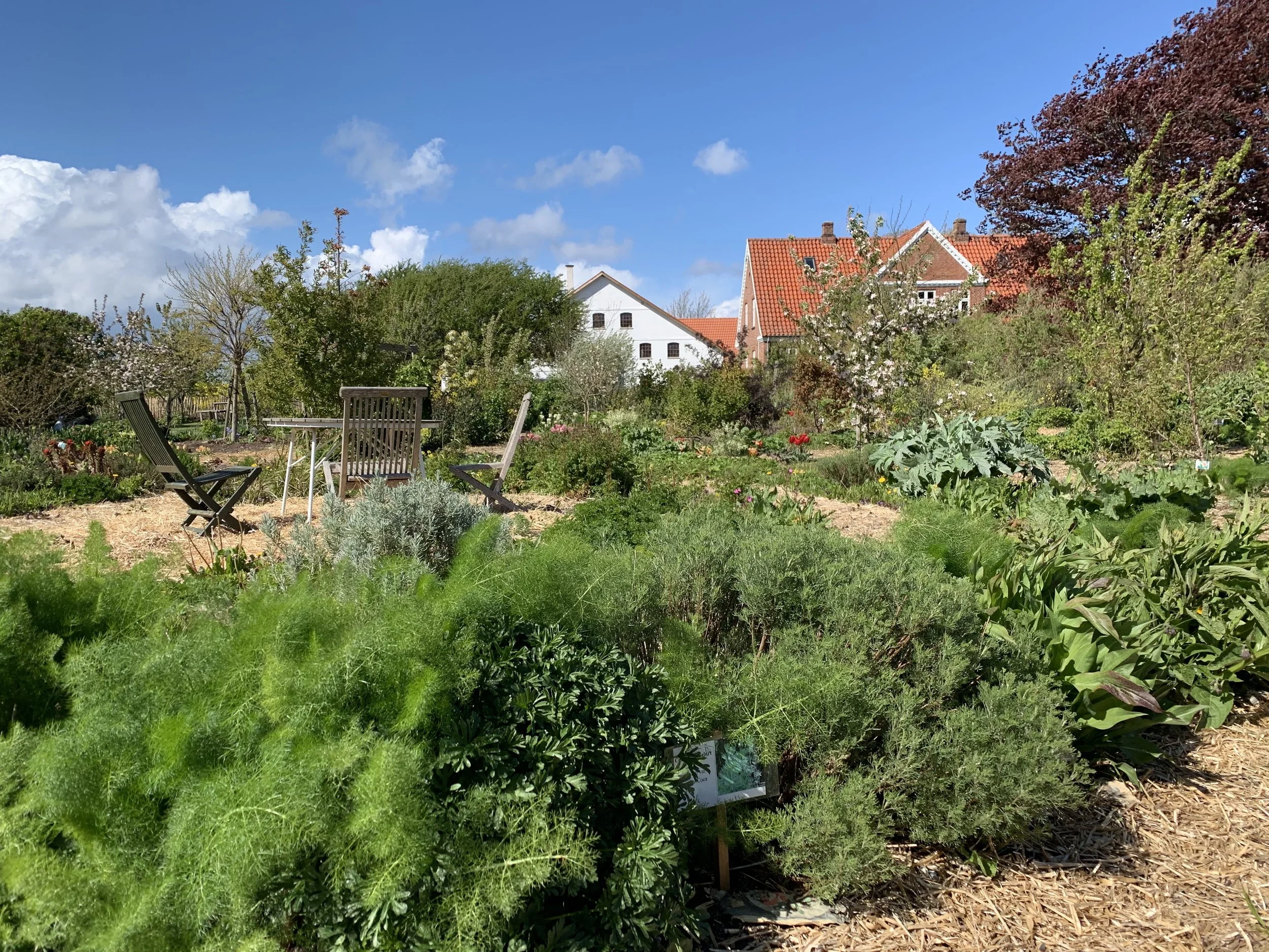 Garden of Artist and Permaculturist, Cecil Rye Olsen