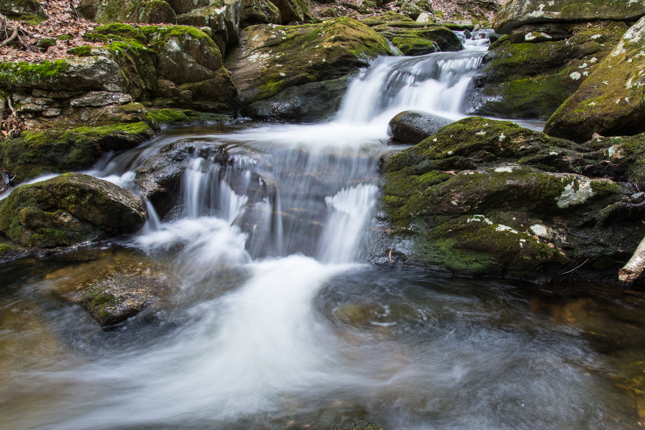 Carpenter Falls upper