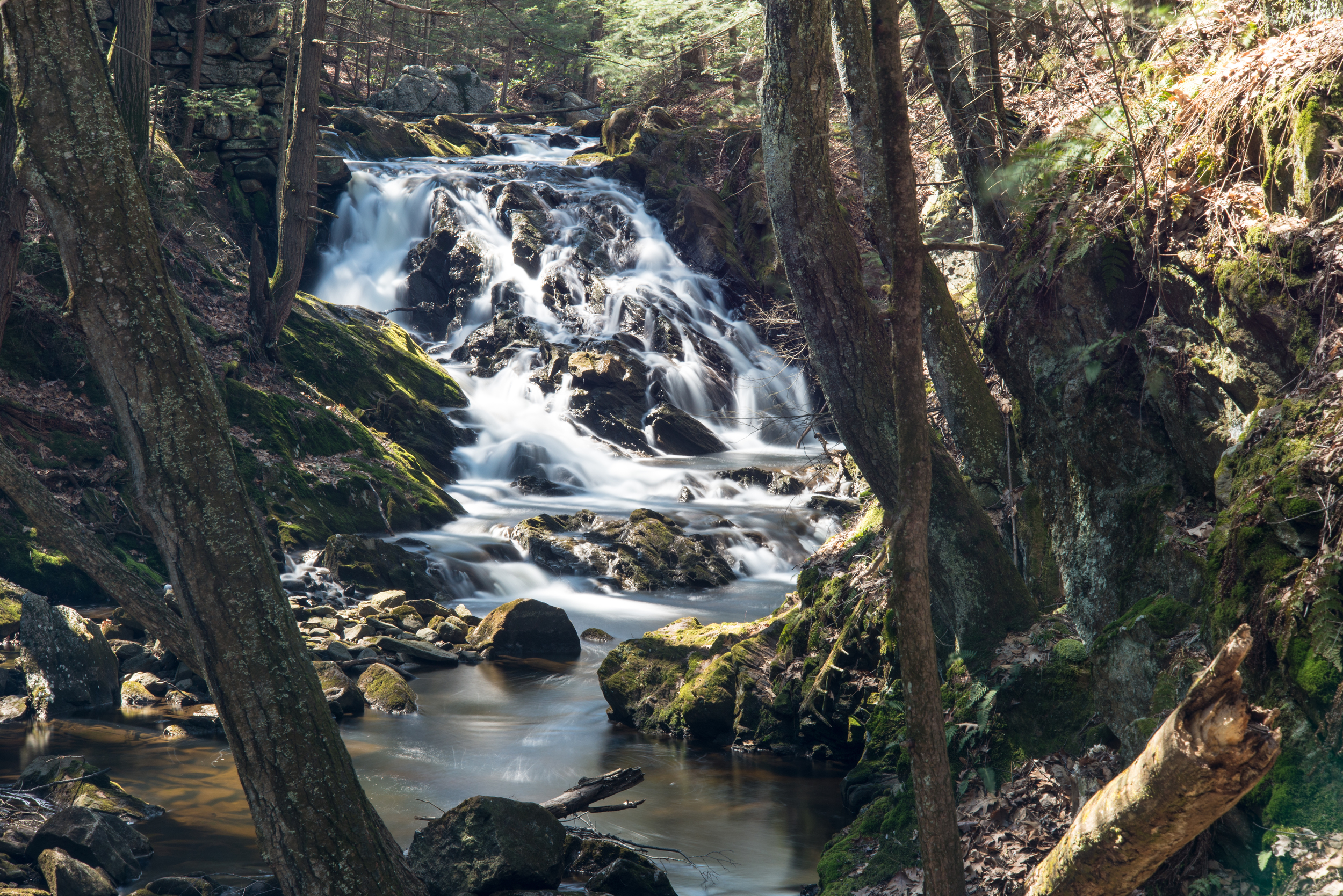 Burlington Falls upper