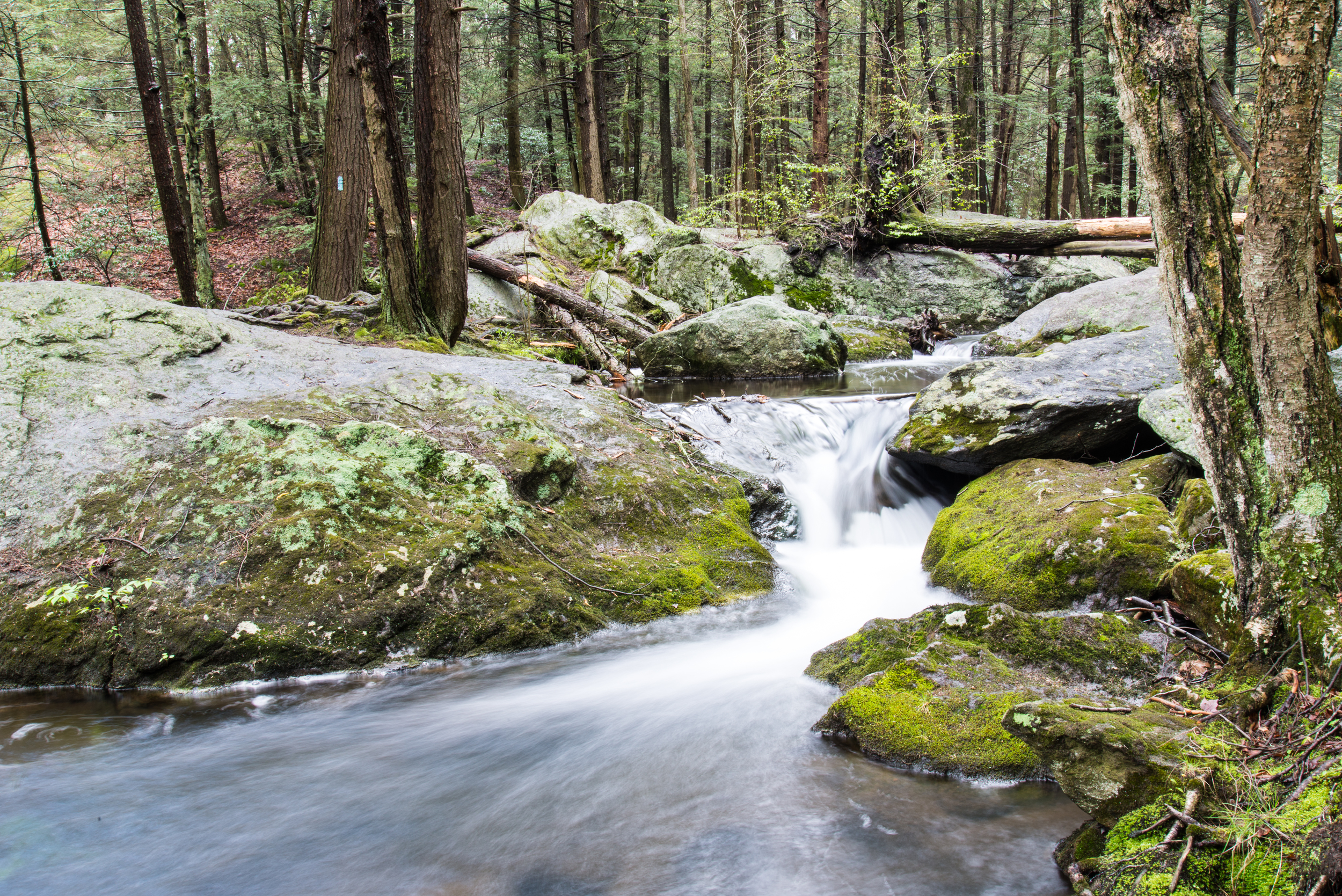 Buttermilk Falls 3