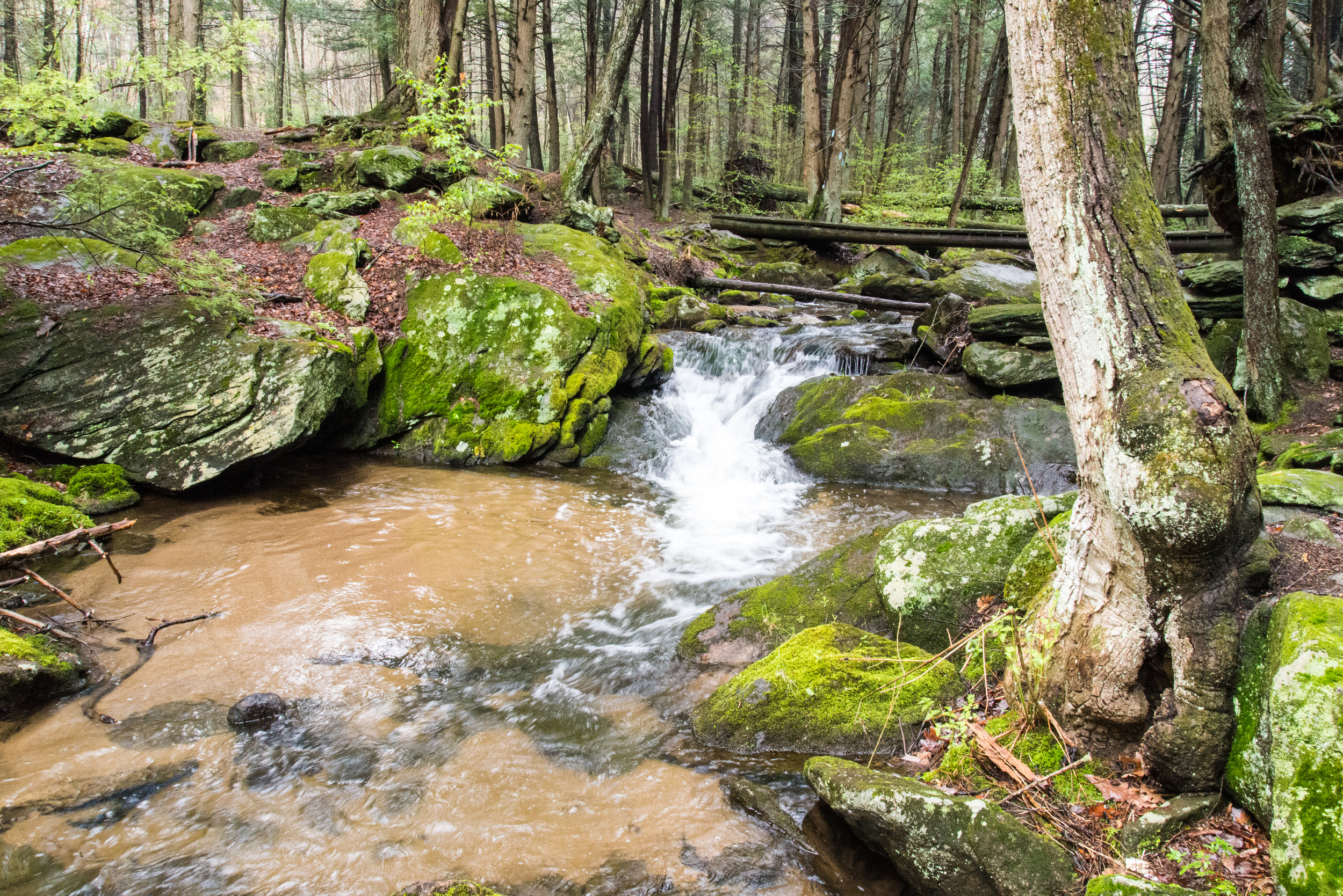 Buttermilk Falls 1