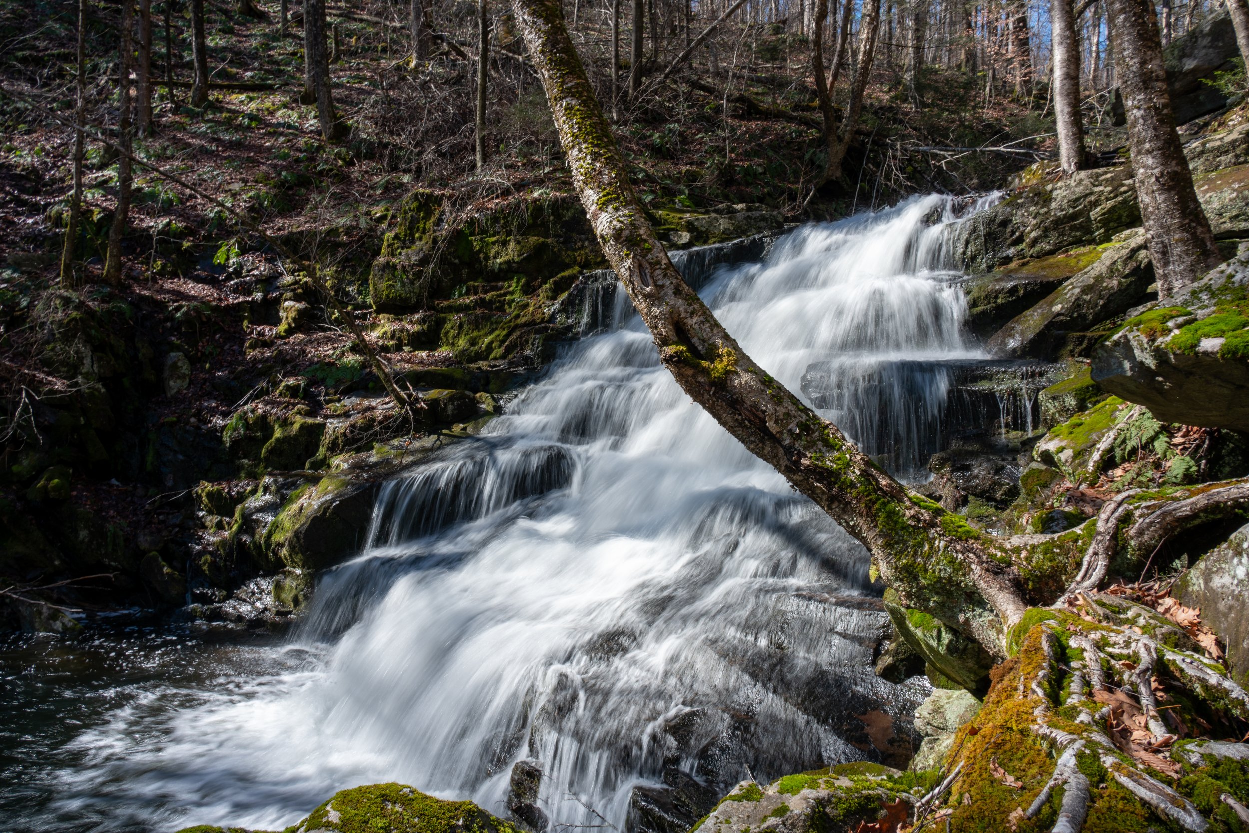 Falls Brook Falls