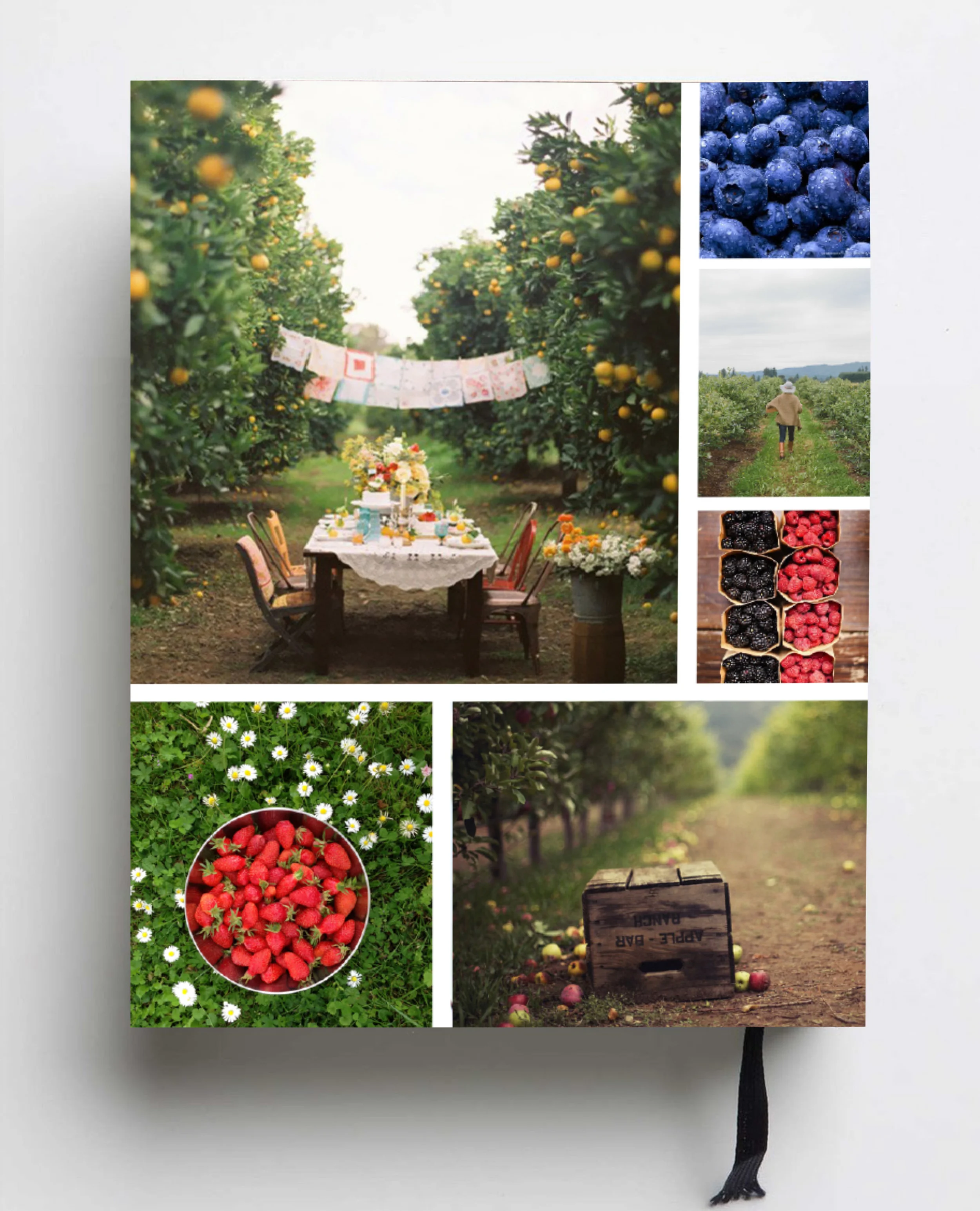 Context // The Smash and Bramble Cookbook is an extension of this line. Concept // This page shows the first page of the chapter on Savory Jams. In it, Sarah shares a personal story from her childhood about her love of all things savory. Next comes a recipe for a savory jam which utilizes an existing jam from the line as a base. *Photos are for mock-up only and are from a variety of internet sources.